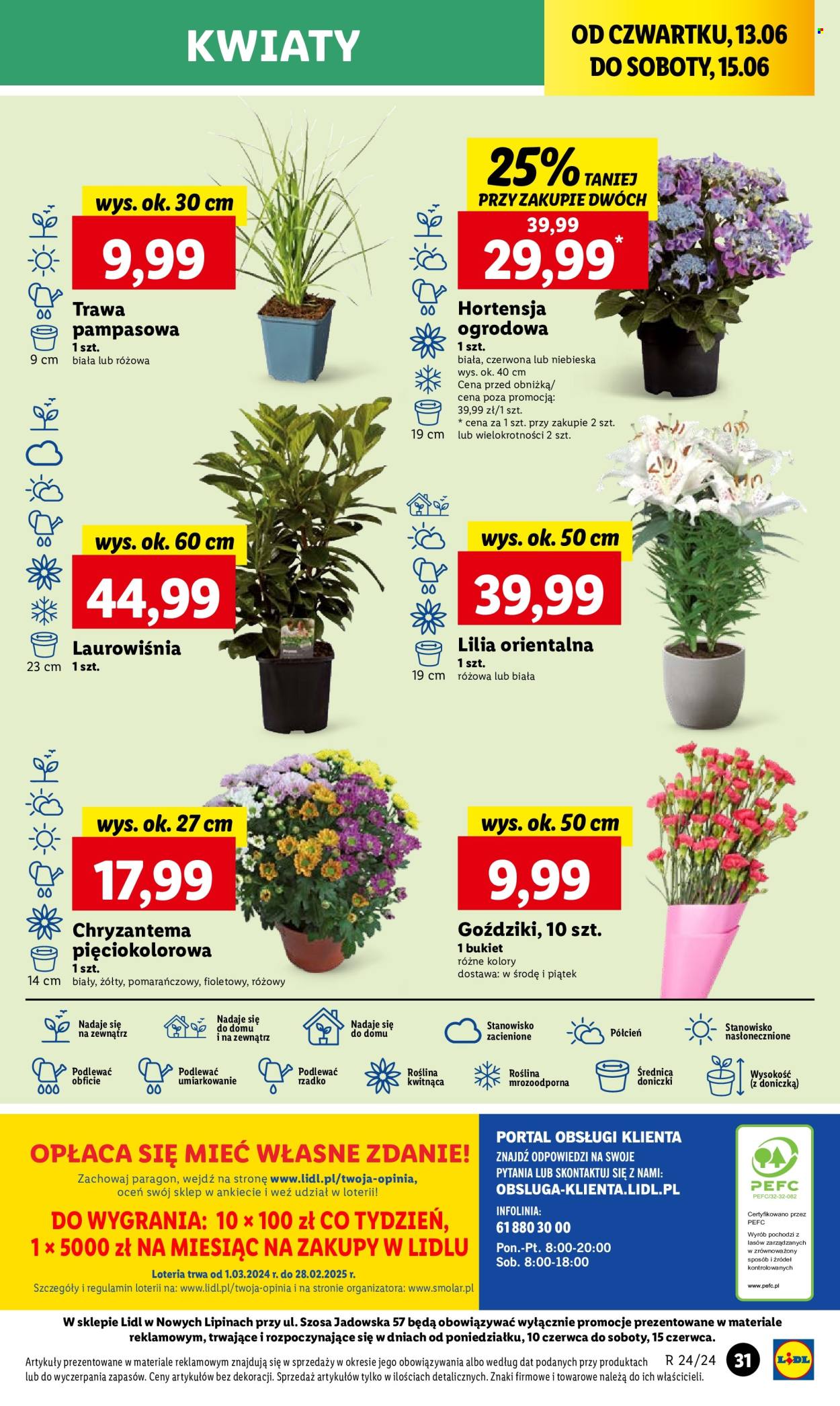Gazetka Lidl - 13.06.2024 - 15.06.2024. Strona 41