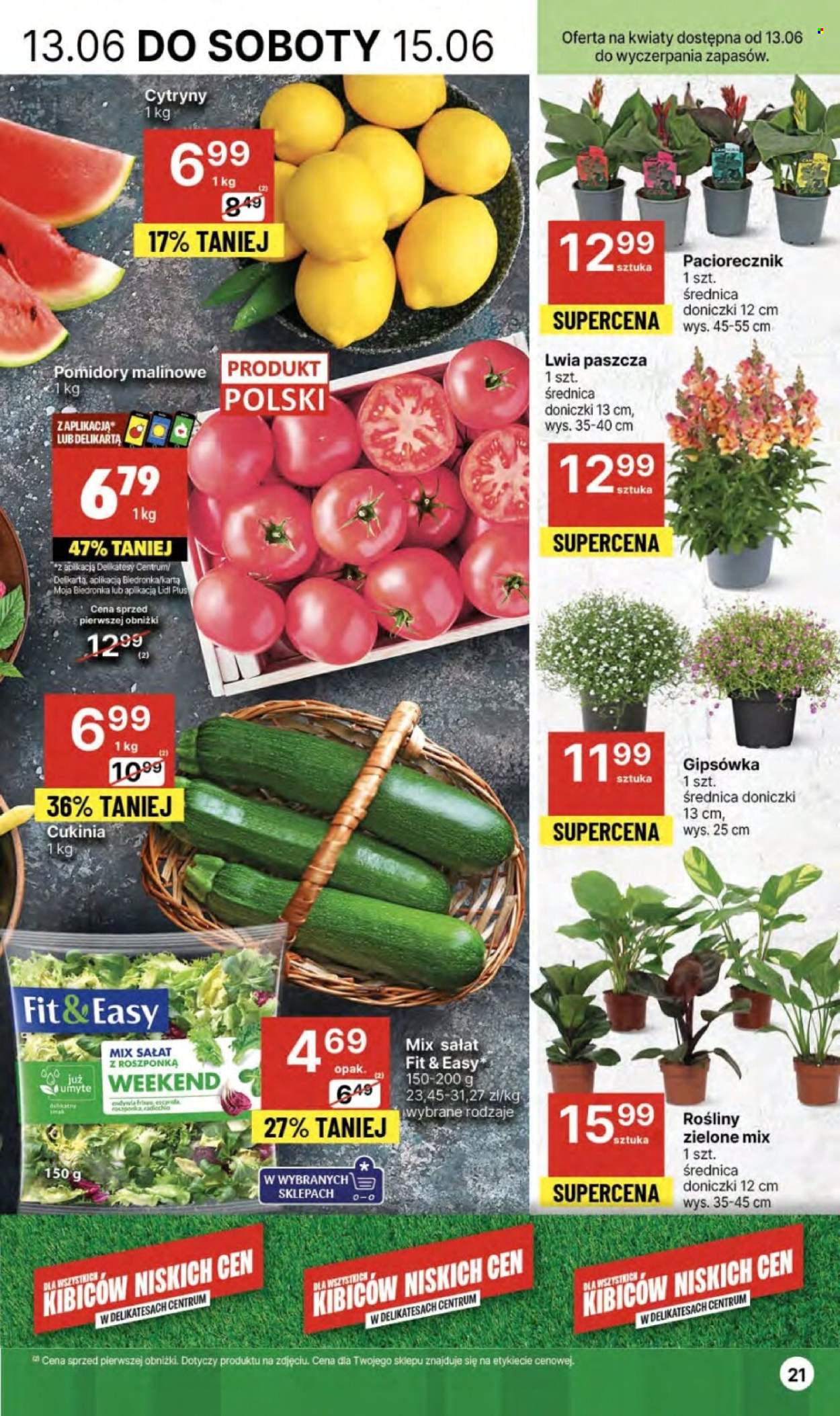 Gazetka Delikatesy Centrum - 13.06.2024 - 19.06.2024. Strona 21