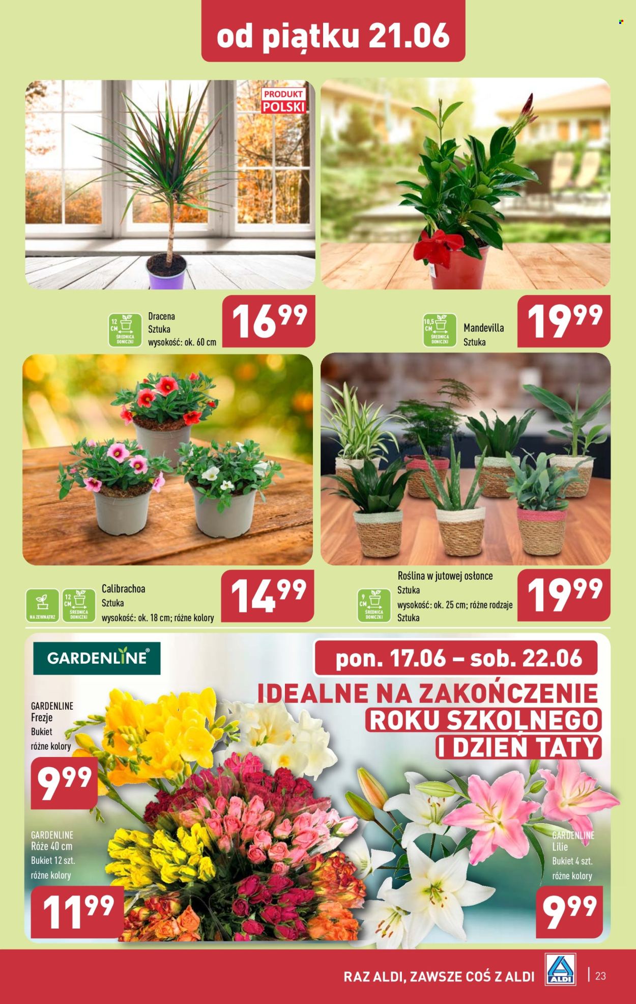 Gazetka ALDI - 17.06.2024 - 22.06.2024. Strona 23