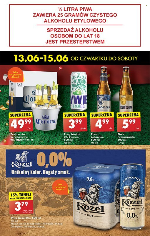 Gazetka Biedronka - 13.06.2024 - 19.06.2024. Strona 45