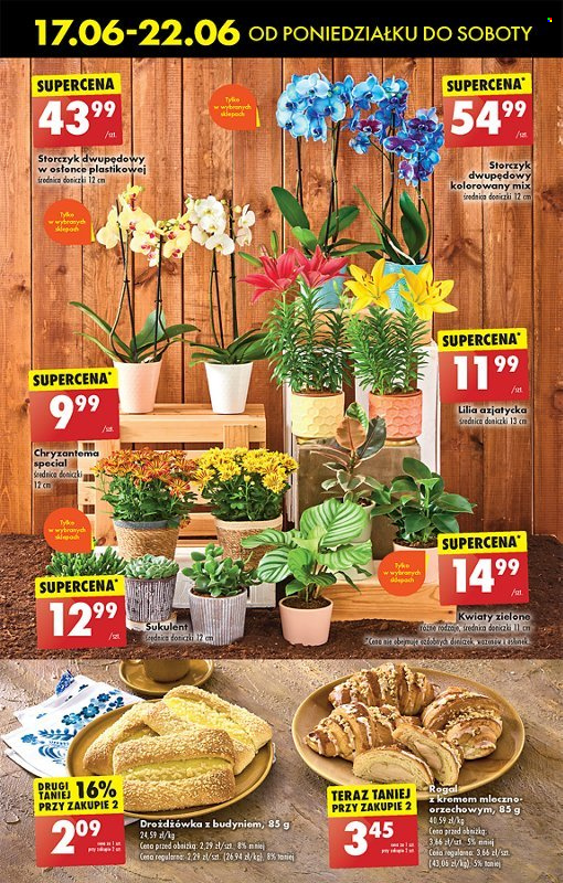 Gazetka Biedronka - 17.06.2024 - 22.06.2024. Strona 23