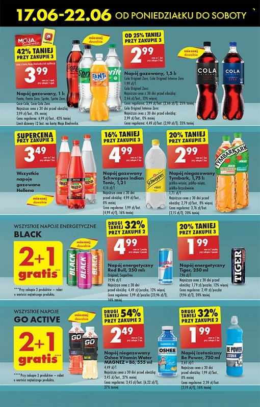 Gazetka Biedronka - 17.06.2024 - 22.06.2024. Strona 51