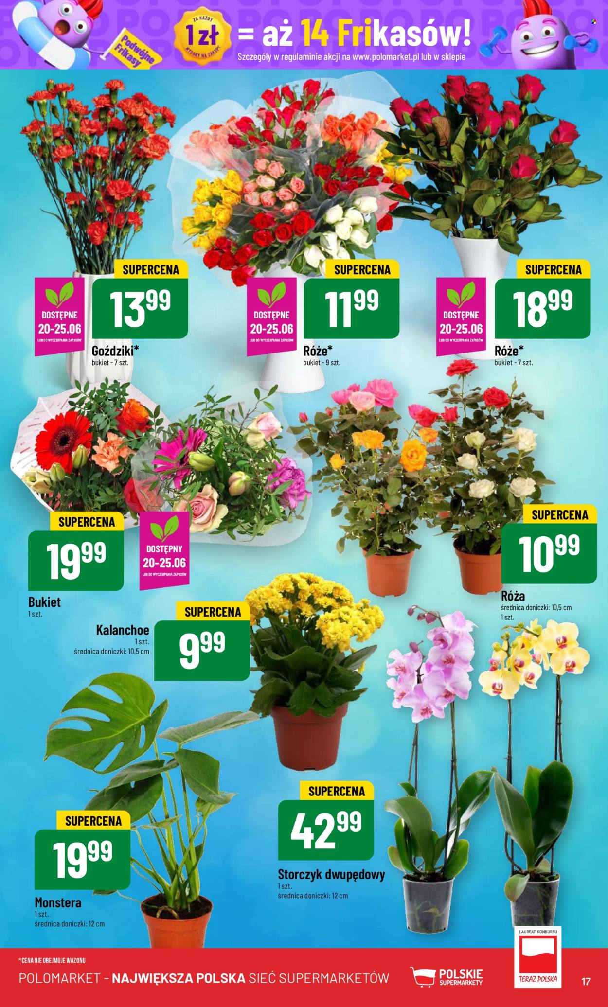 Gazetka Polomarket - 19.06.2024 - 25.06.2024. Strona 17