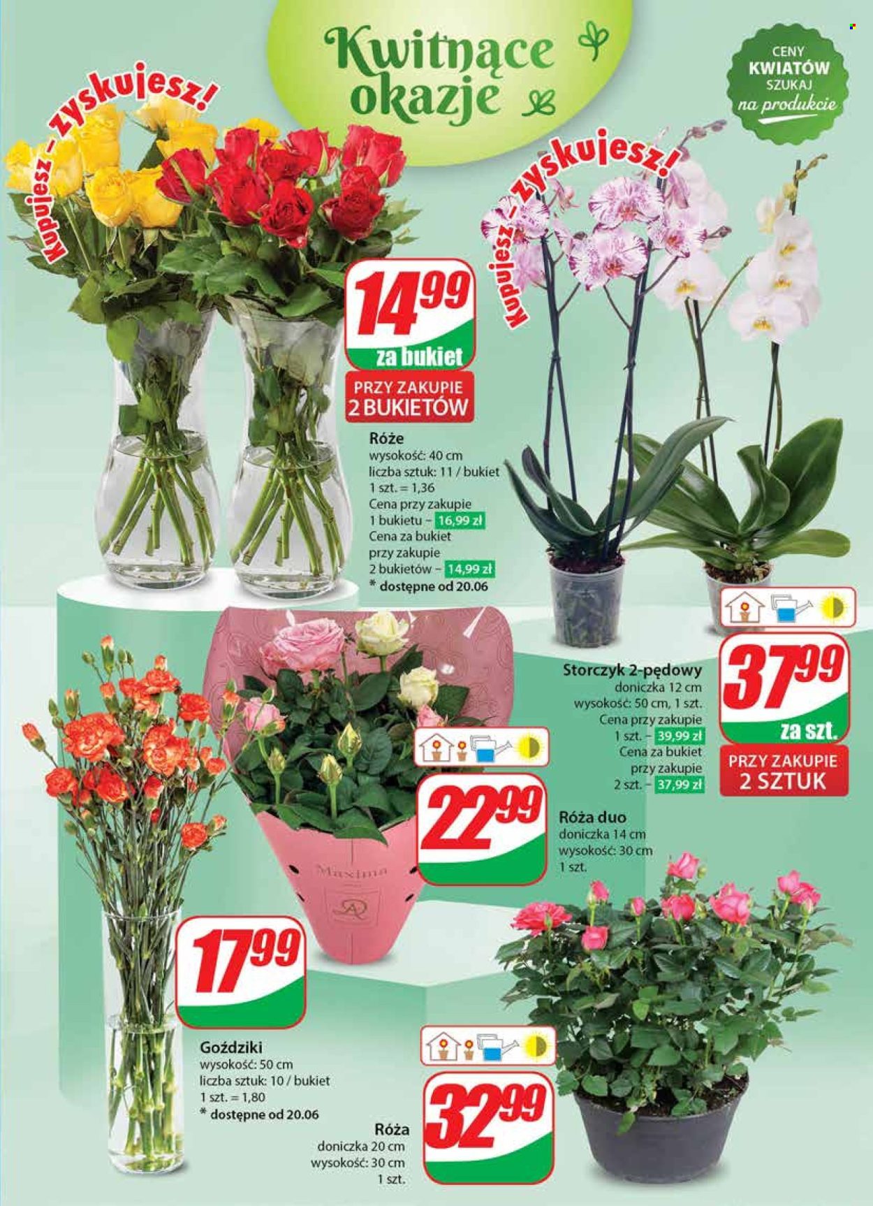 Gazetka Dino - 19.06.2024 - 25.06.2024. Strona 45
