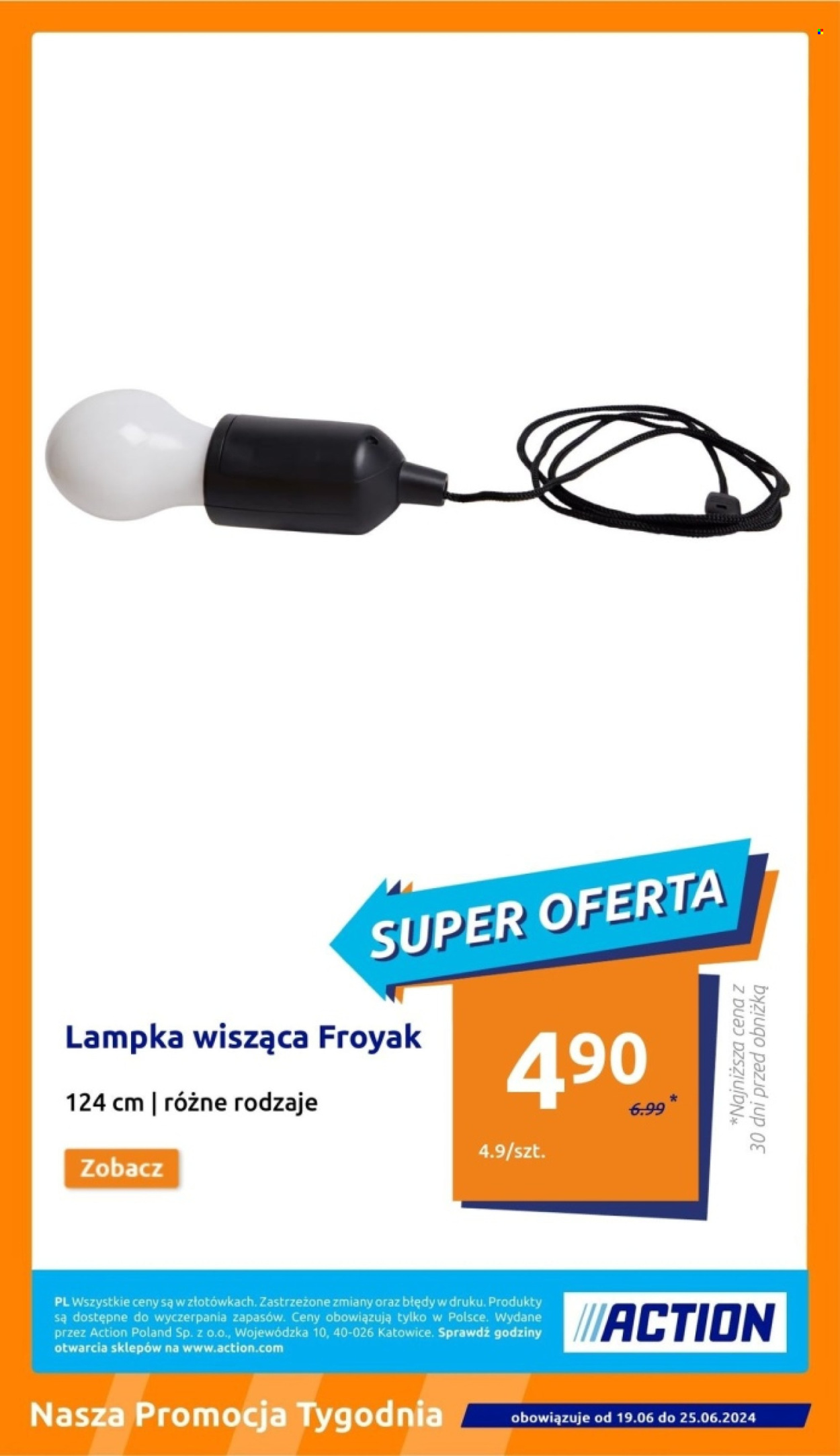 Gazetka Action - 19.06.2024 - 25.06.2024. Strona 17