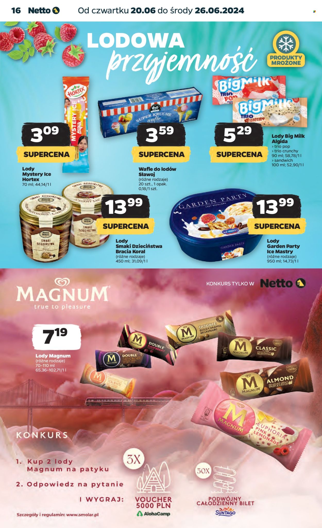 Gazetka Netto - 20.06.2024 - 26.06.2024. Strona 16