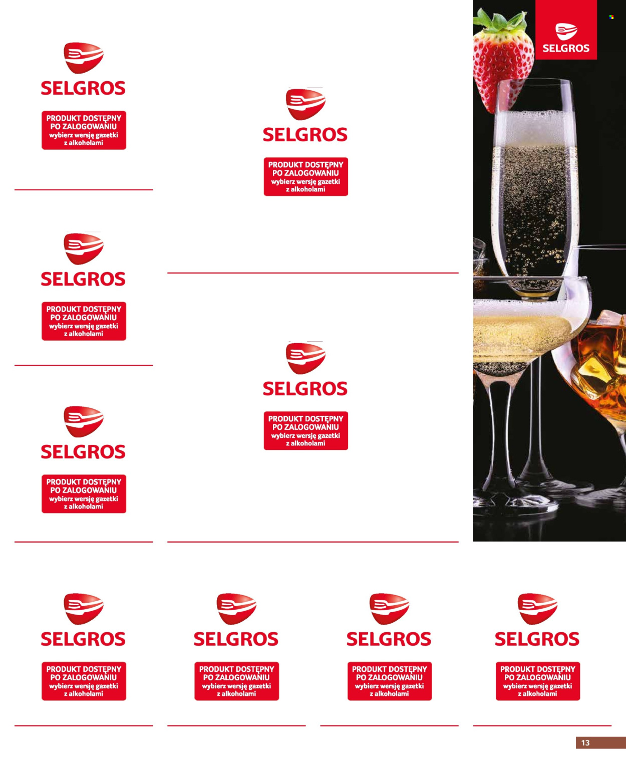Gazetka Selgros - 20.06.2024 - 3.07.2024. Strona 13