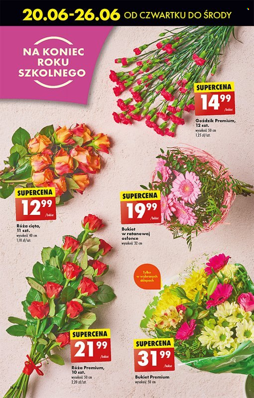 Gazetka Biedronka - 20.06.2024 - 26.06.2024. Strona 16