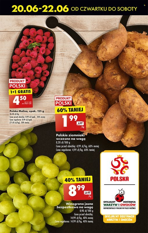 Gazetka Biedronka - 20.06.2024 - 26.06.2024. Strona 19