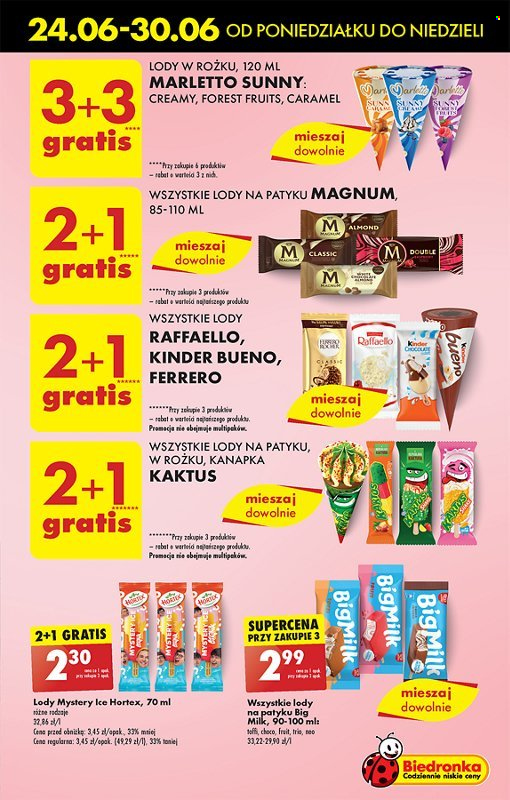 Gazetka Biedronka - 24.06.2024 - 30.06.2024. Strona 43