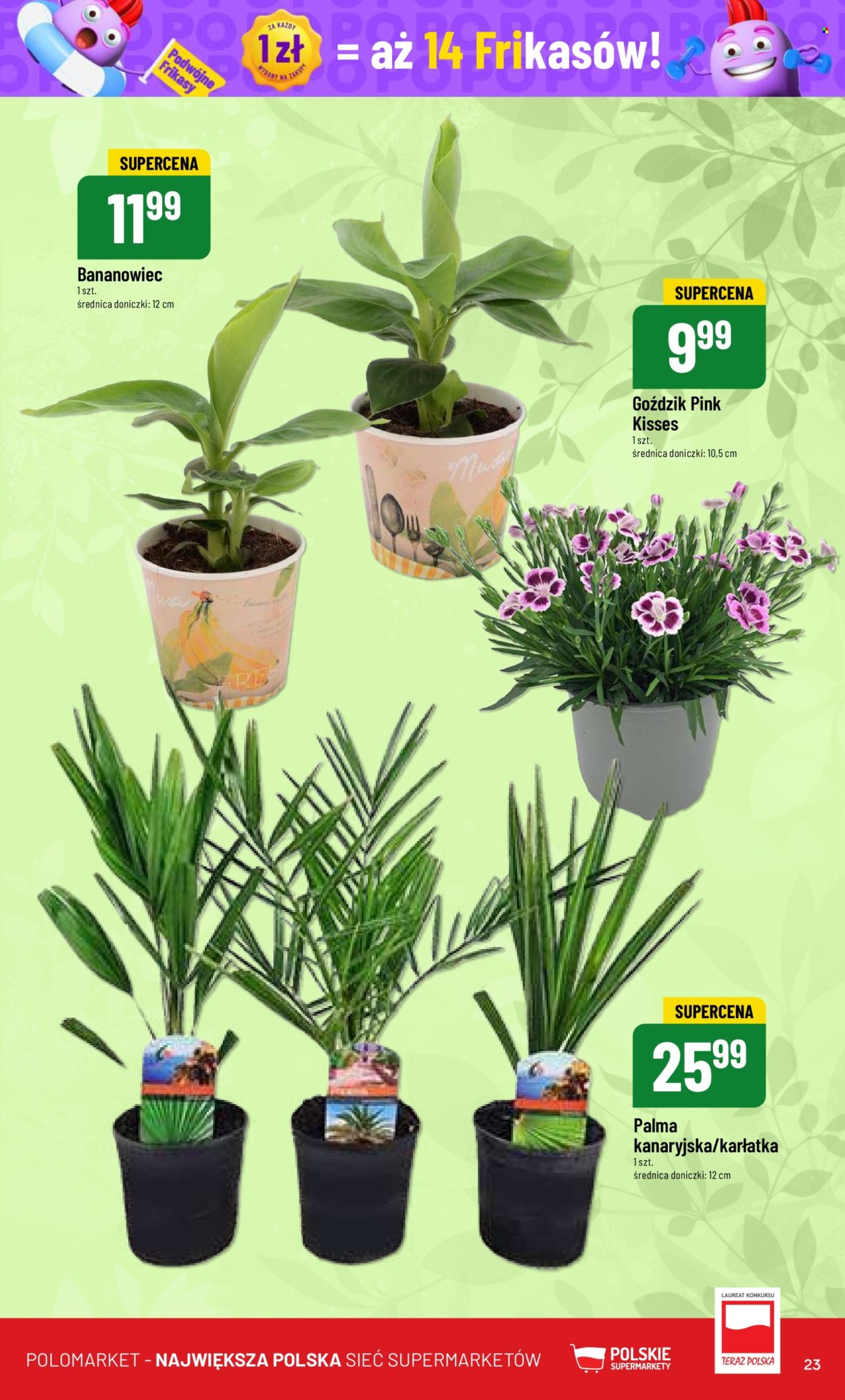 Gazetka Polomarket - 26.06.2024 - 2.07.2024. Strona 23