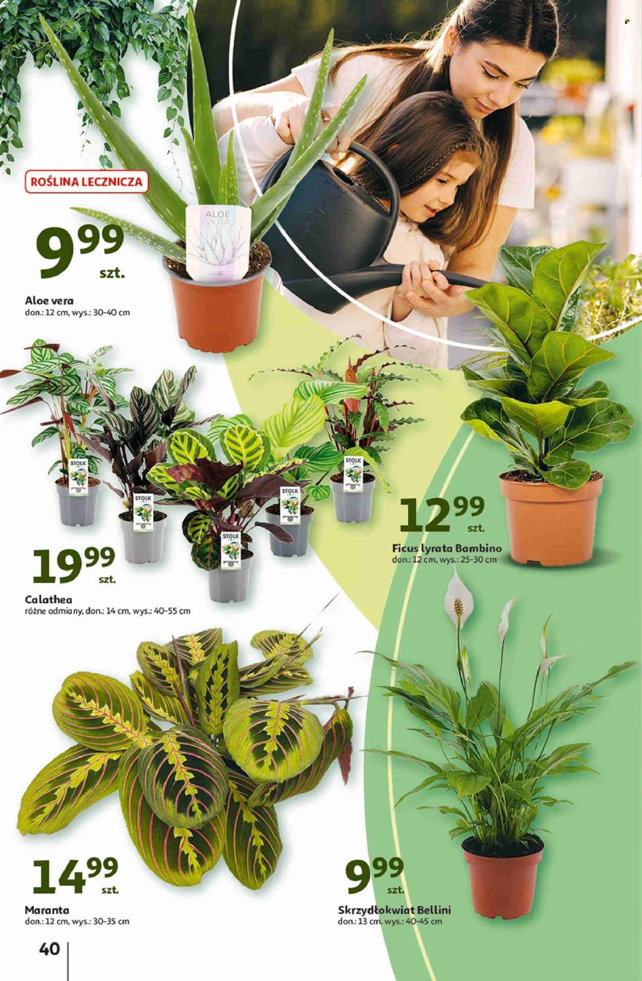 Gazetka Auchan - 27.06.2024 - 3.07.2024. Strona 48