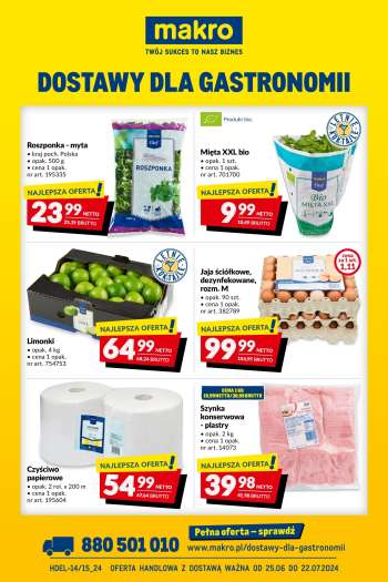 Gazetka Makro - 25.06.2024 - 22.07.2024.