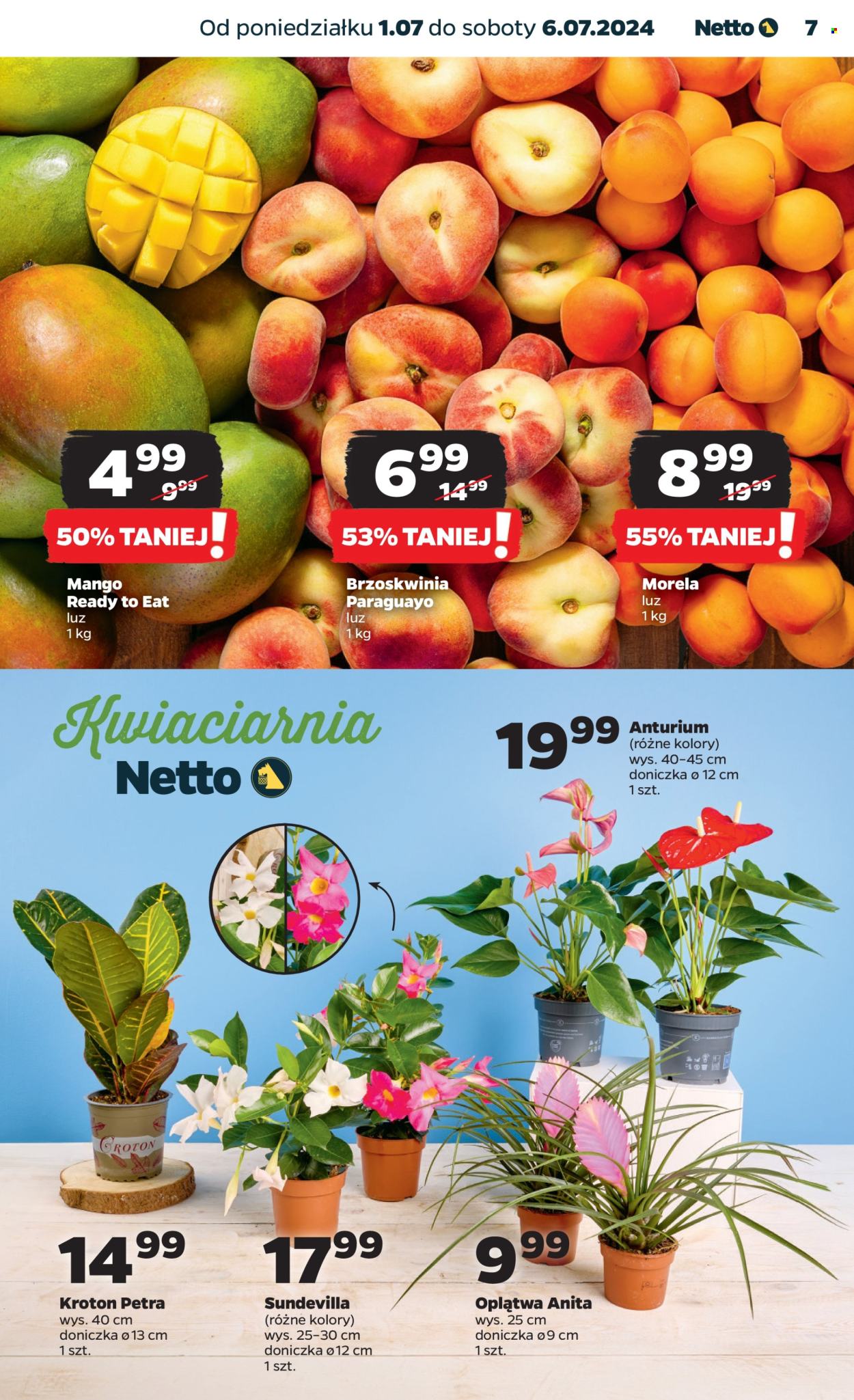 Gazetka Netto - 1.07.2024 - 6.07.2024. Strona 7