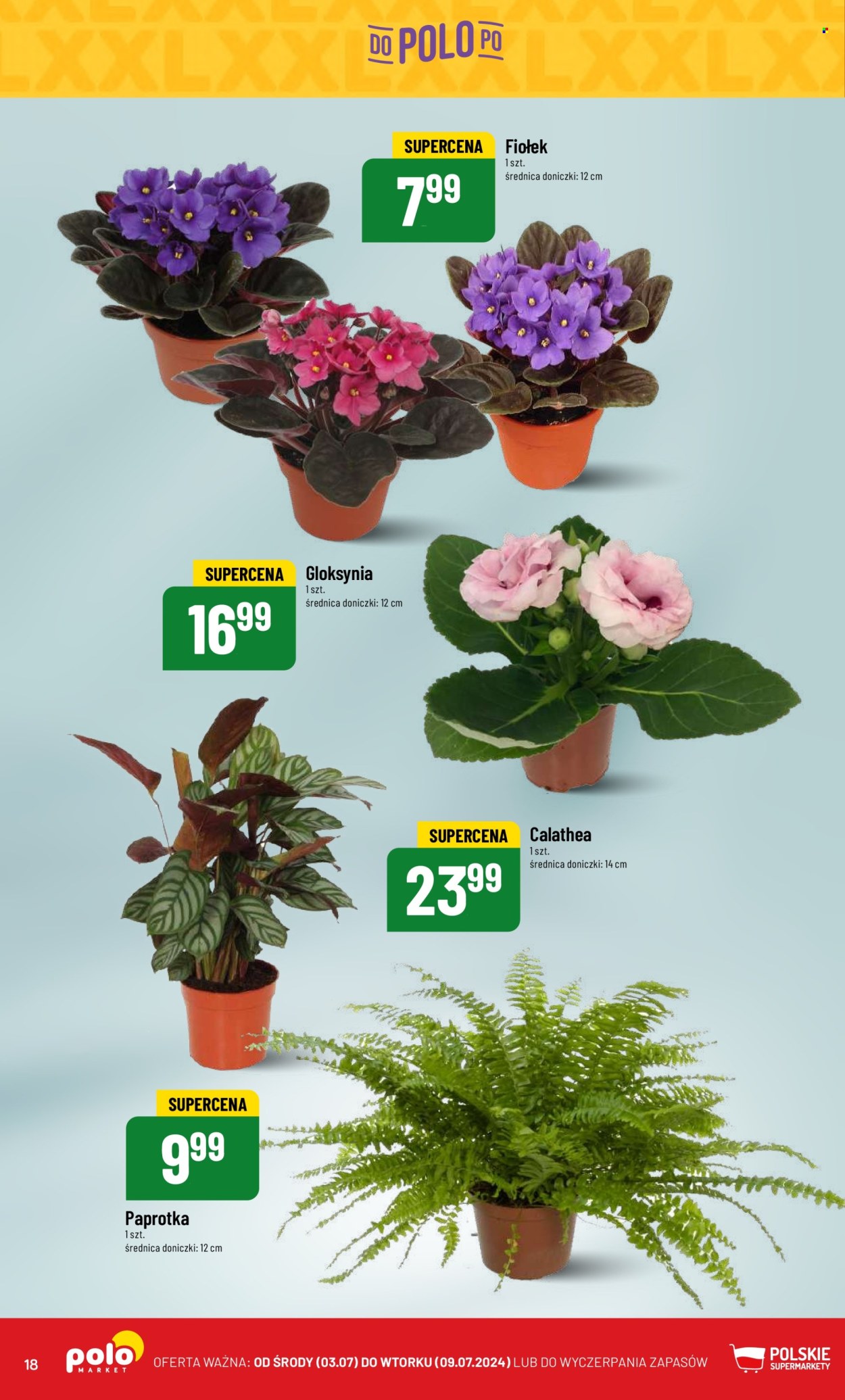 Gazetka Polomarket - 3.07.2024 - 9.07.2024. Strona 18
