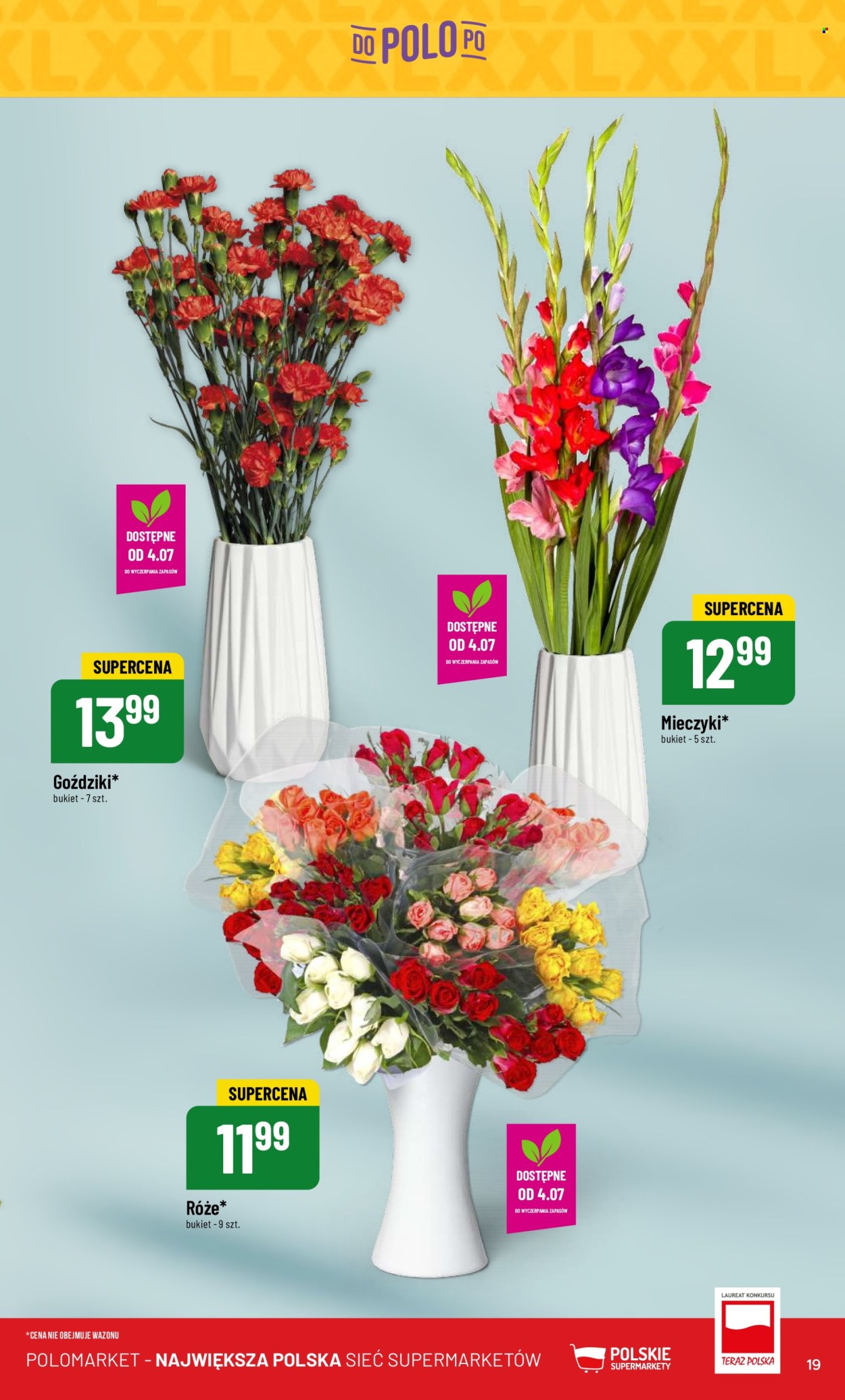 Gazetka Polomarket - 3.07.2024 - 9.07.2024. Strona 19