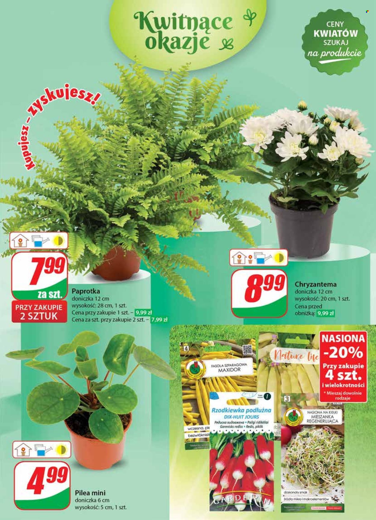 Gazetka Dino - 3.07.2024 - 9.07.2024. Strona 53