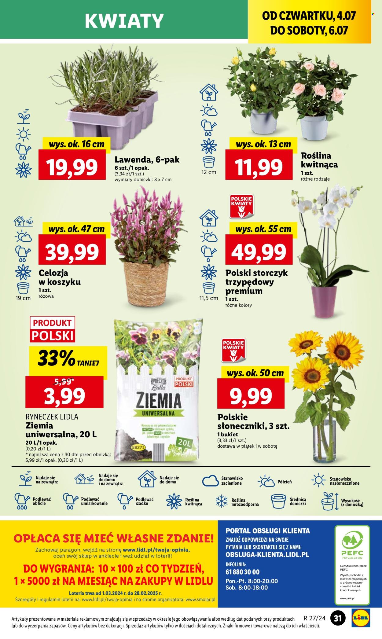 Gazetka Lidl - 4.07.2024 - 6.07.2024. Strona 39