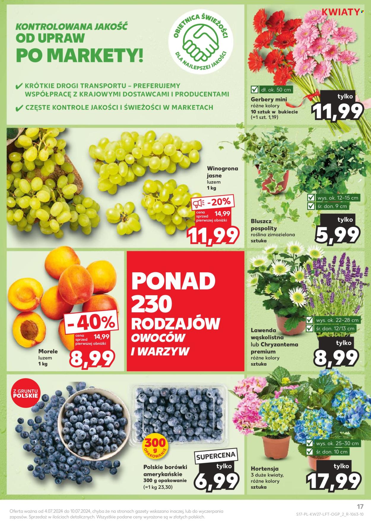 Gazetka Kaufland - 4.07.2024 - 10.07.2024. Strona 17