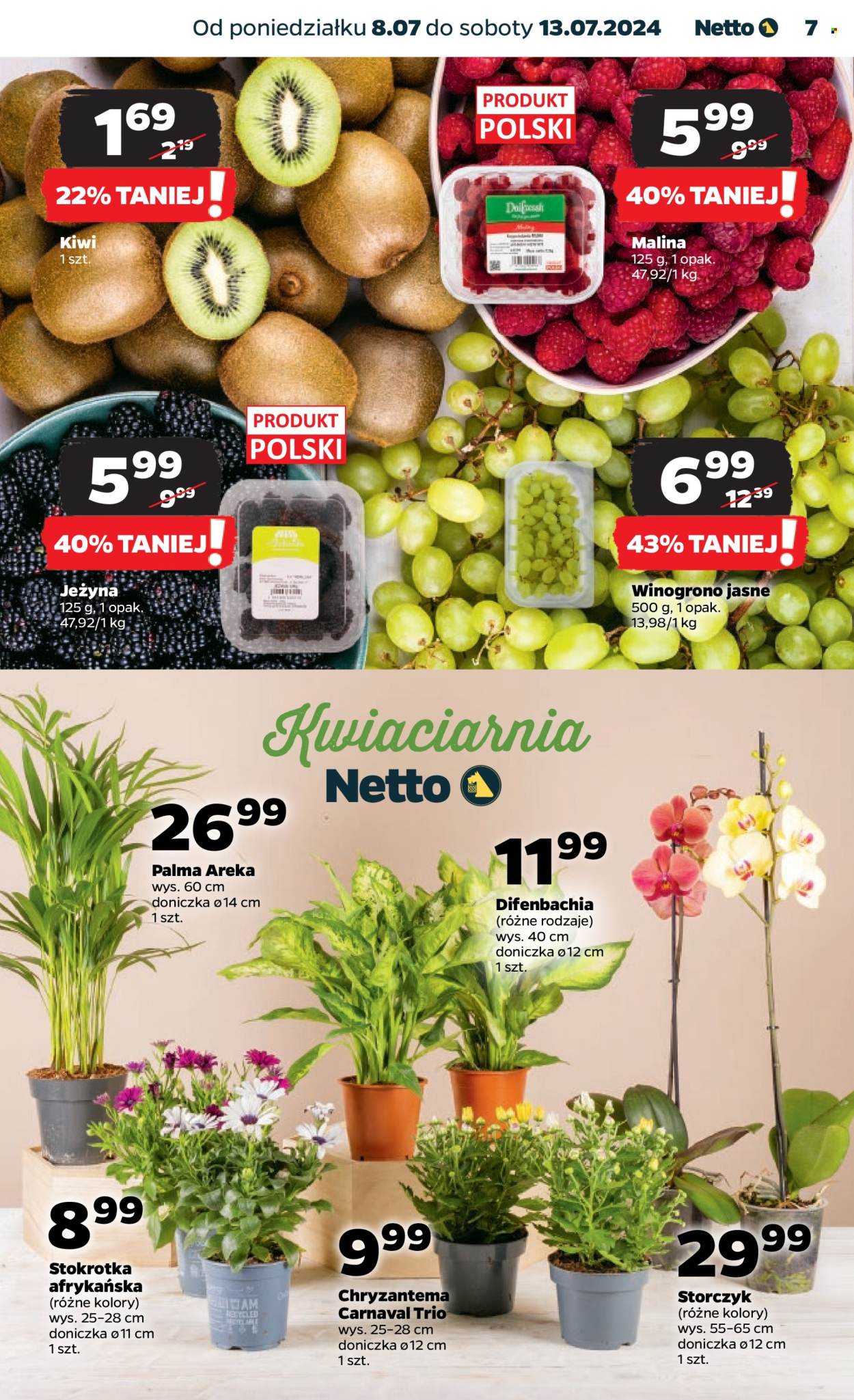 Gazetka Netto - 8.07.2024 - 13.07.2024. Strona 7