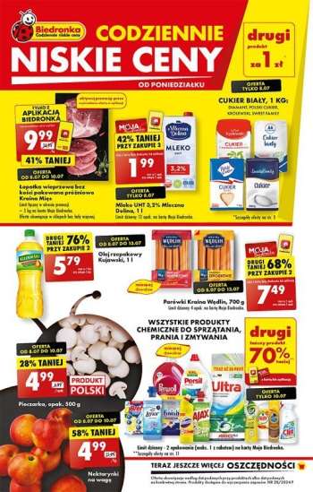 Gazetka Biedronka - 8.07.2024 - 13.07.2024.
