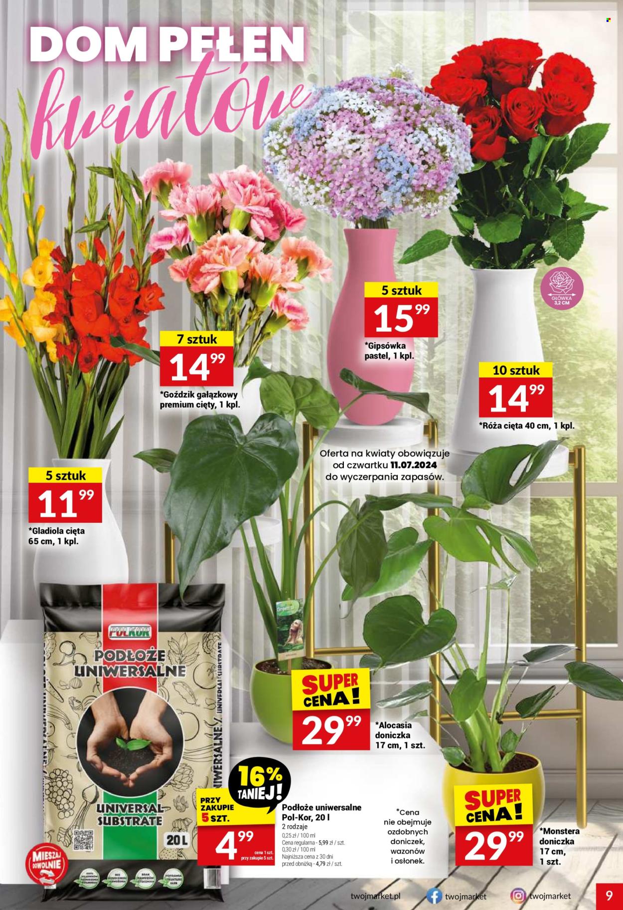Gazetka Twój Market - 10.07.2024 - 16.07.2024. Strona 9
