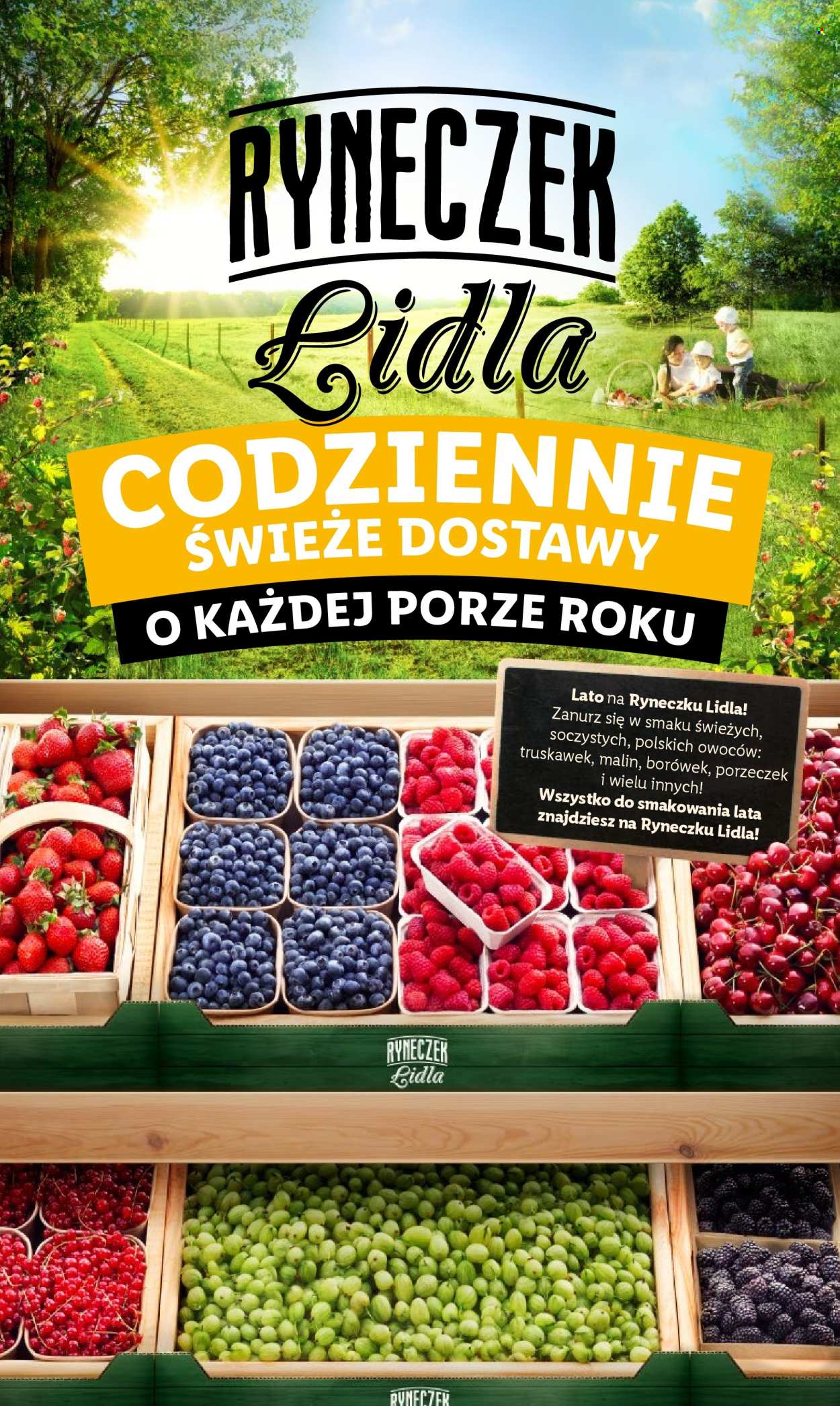 Gazetka Lidl - 11.07.2024 - 13.07.2024. Strona 15