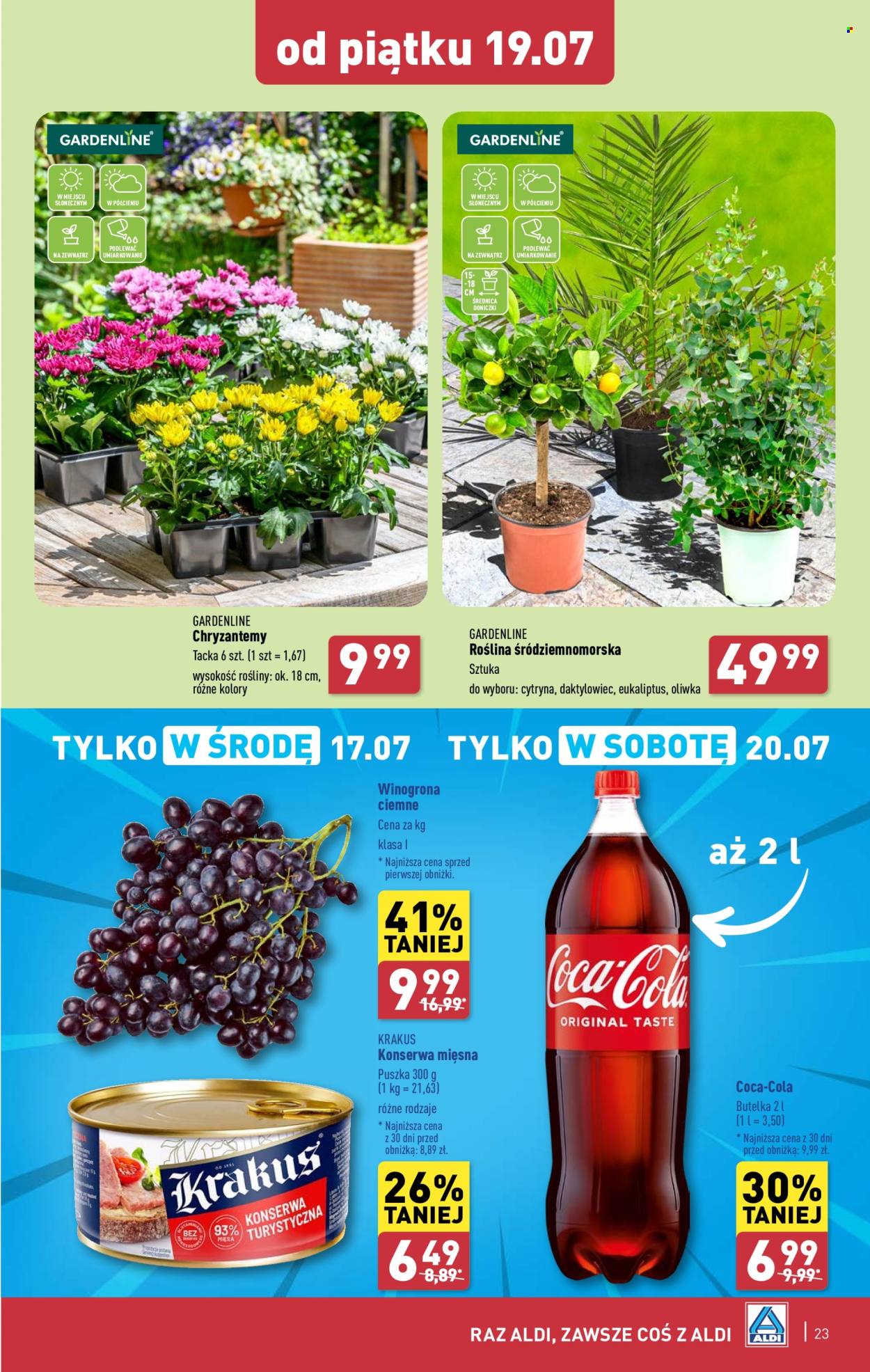 Gazetka ALDI - 15.07.2024 - 20.07.2024. Strona 23