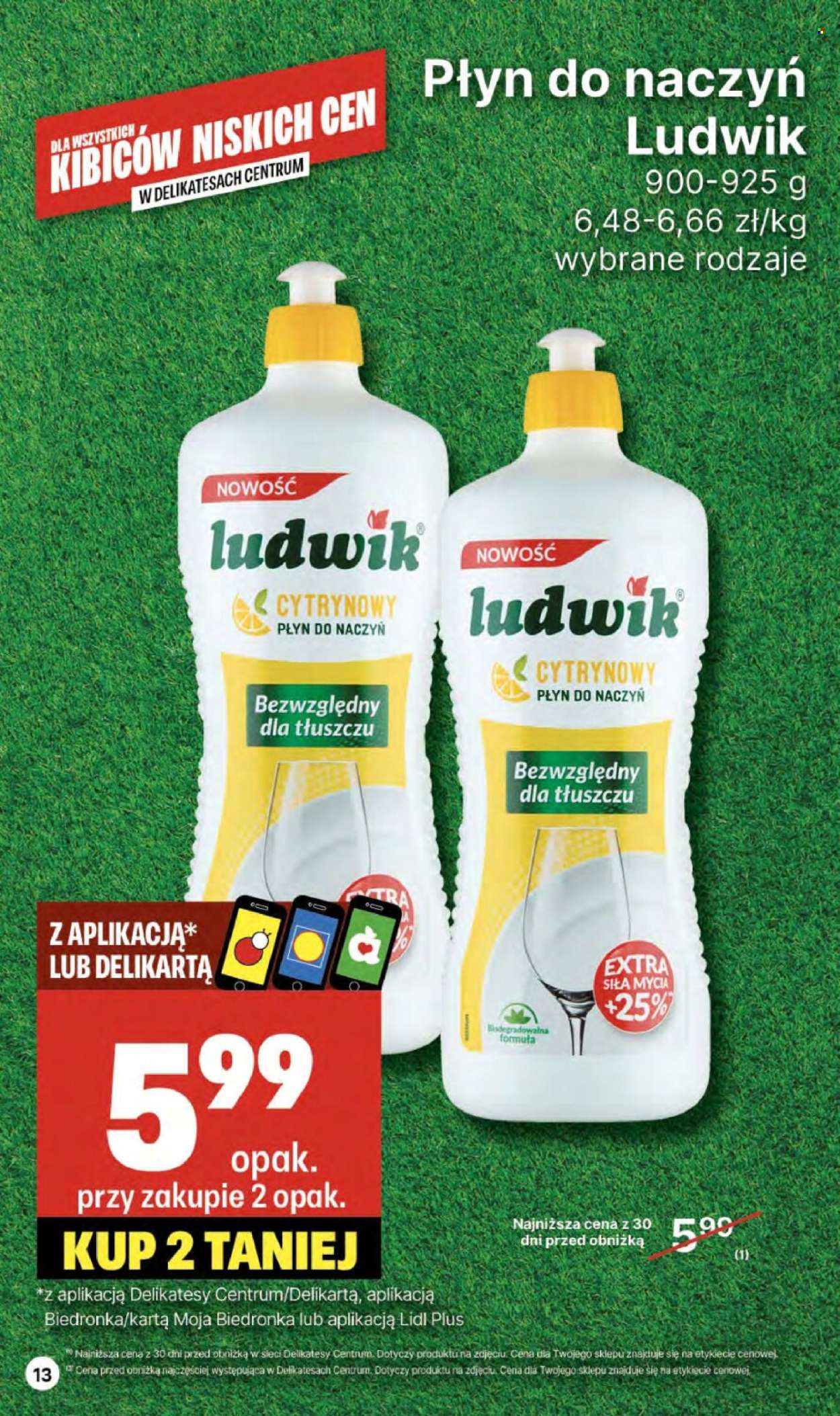 Gazetka Delikatesy Centrum - 11.07.2024 - 17.07.2024. Strona 13