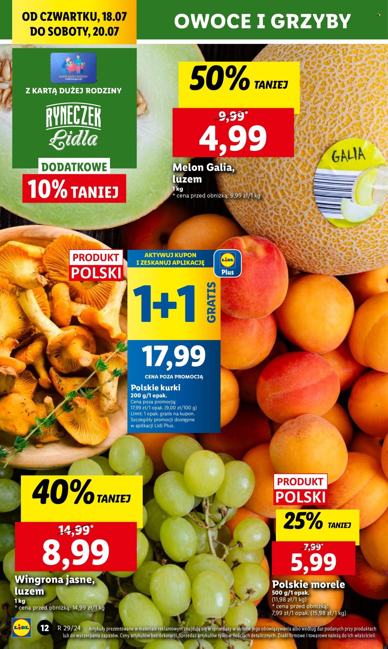 Gazetka Lidl - 18.07.2024 - 20.07.2024. Strona 16