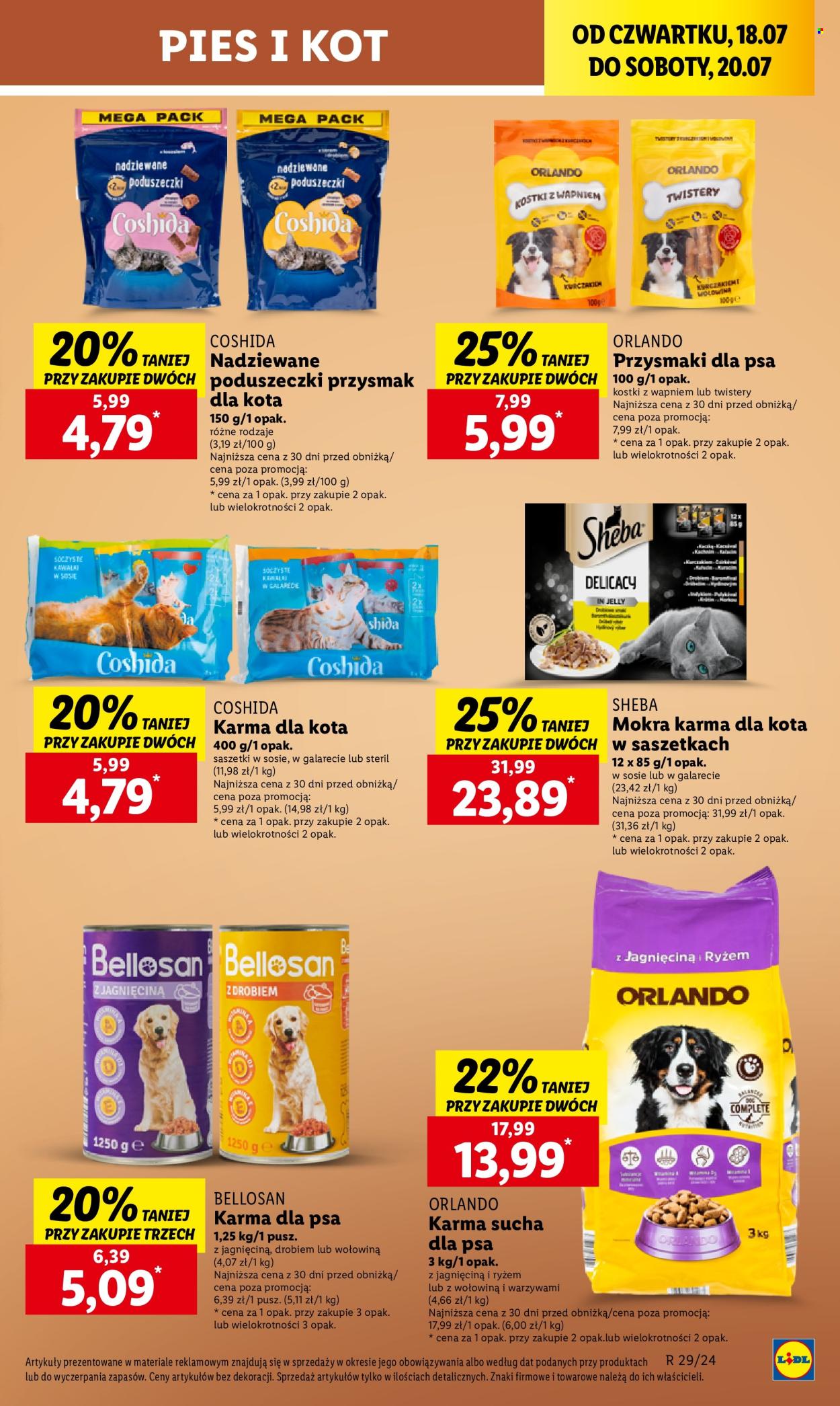 Gazetka Lidl - 18.07.2024 - 20.07.2024. Strona 41