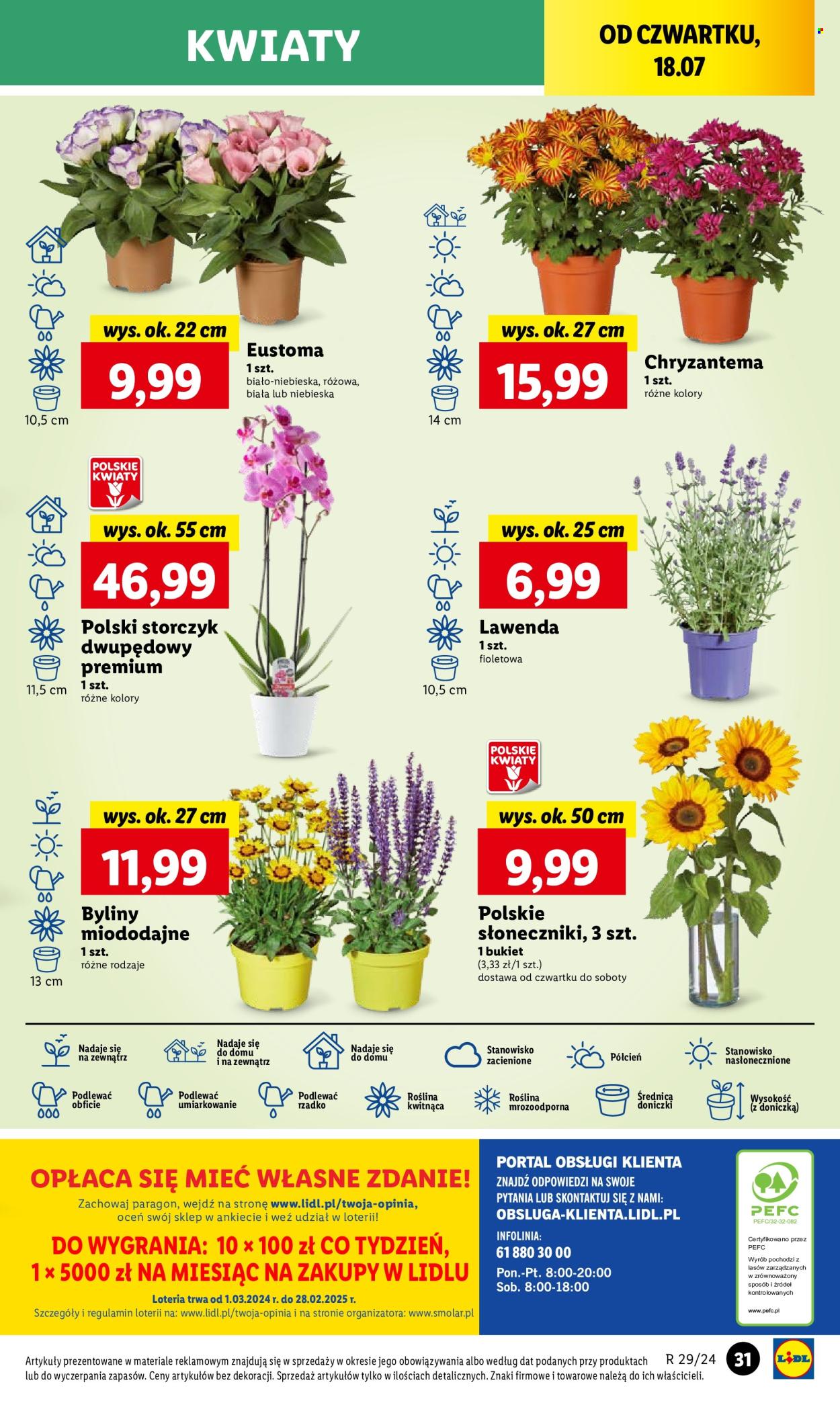 Gazetka Lidl - 18.07.2024 - 20.07.2024. Strona 42