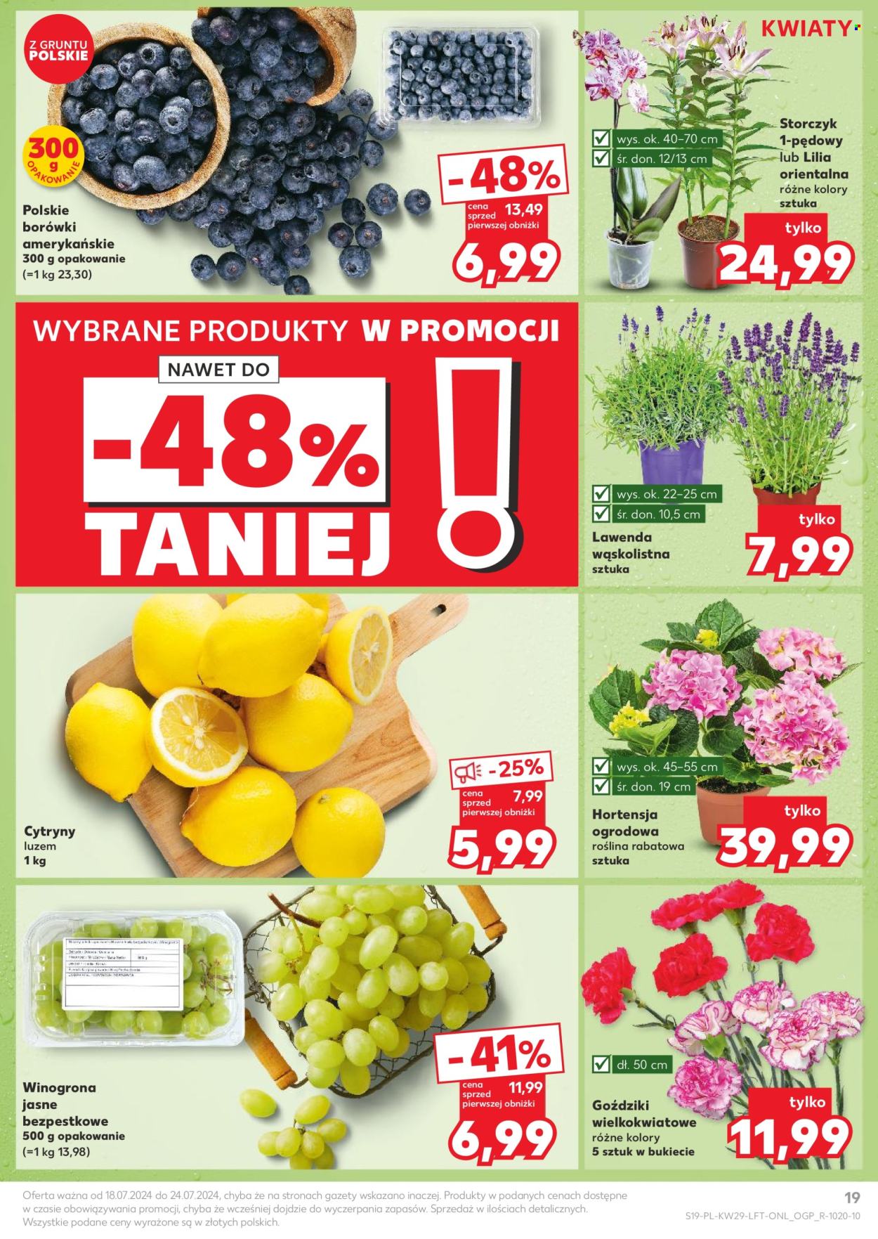 Gazetka Kaufland - 18.07.2024 - 24.07.2024. Strona 19