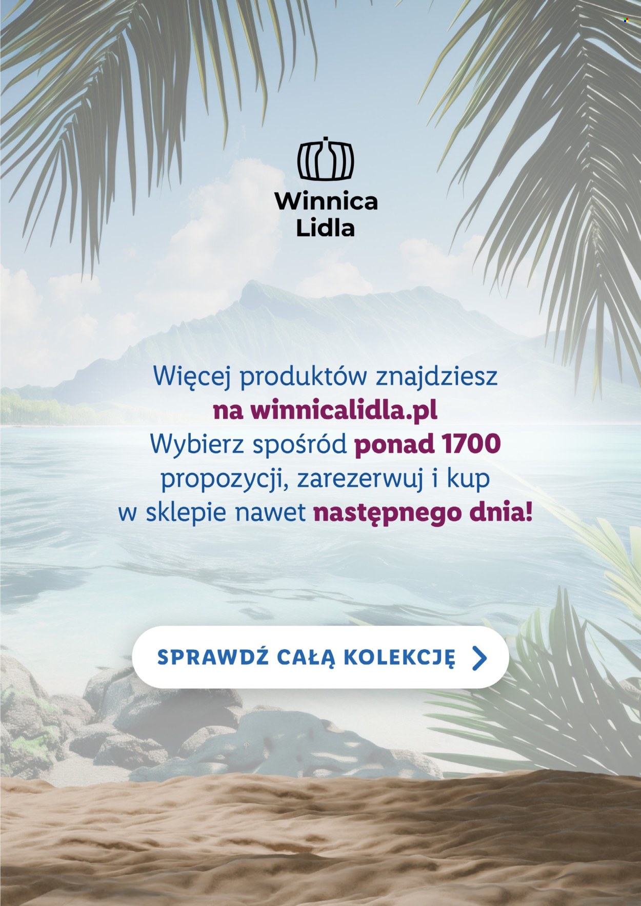 Gazetka Lidl. Strona 4