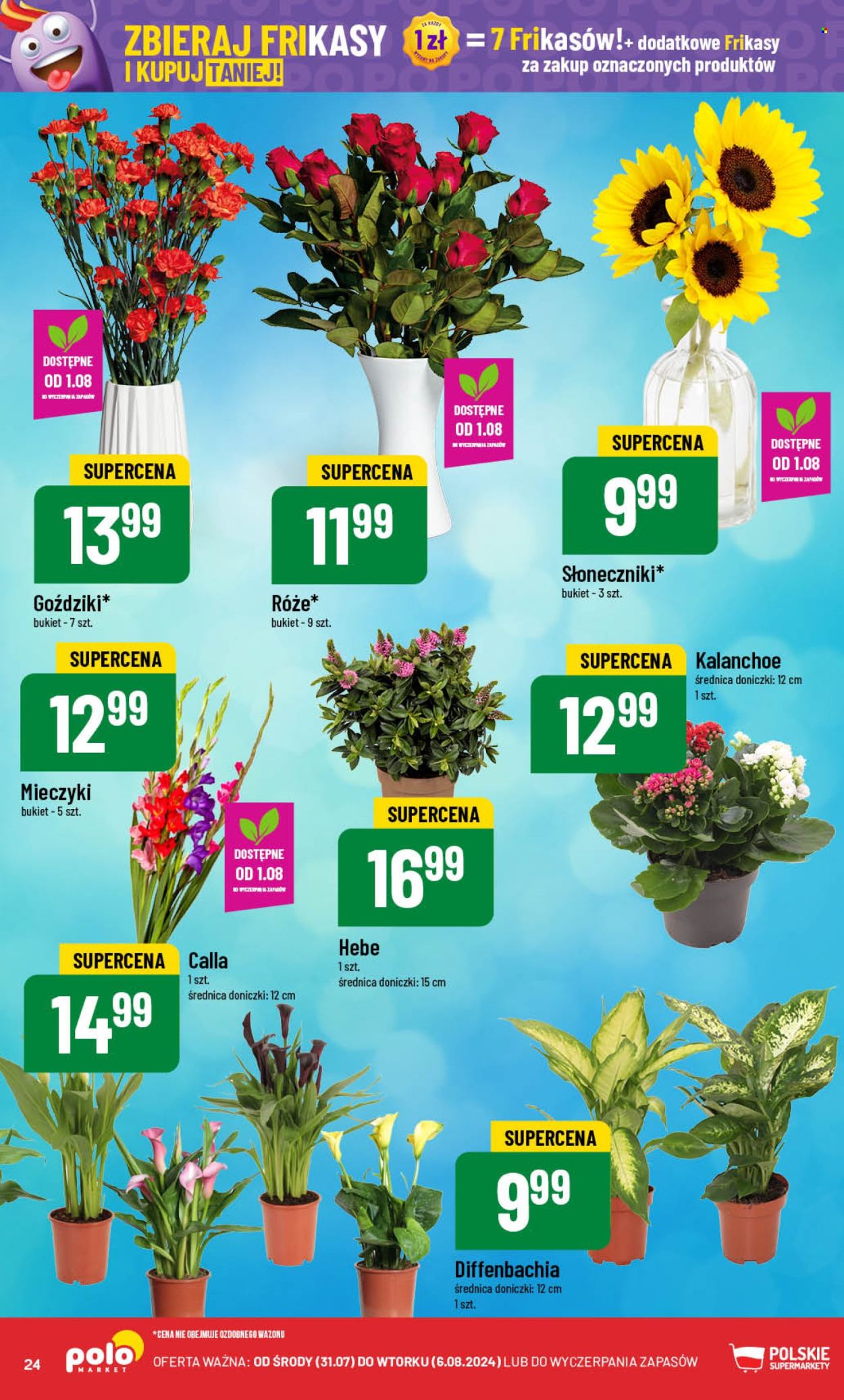 Gazetka Polomarket - 31.07.2024 - 6.08.2024. Strona 24