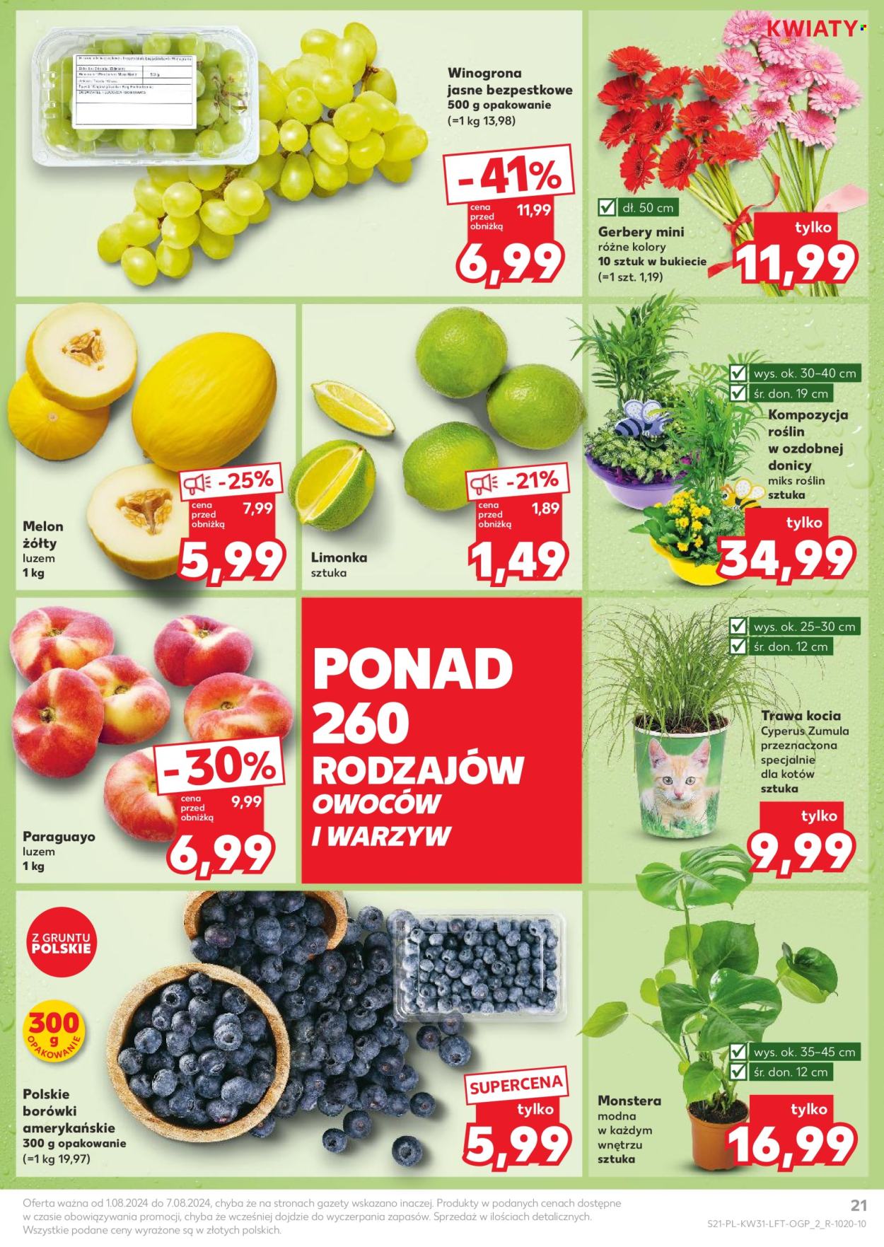 Gazetka Kaufland - 1.08.2024 - 7.08.2024. Strona 21