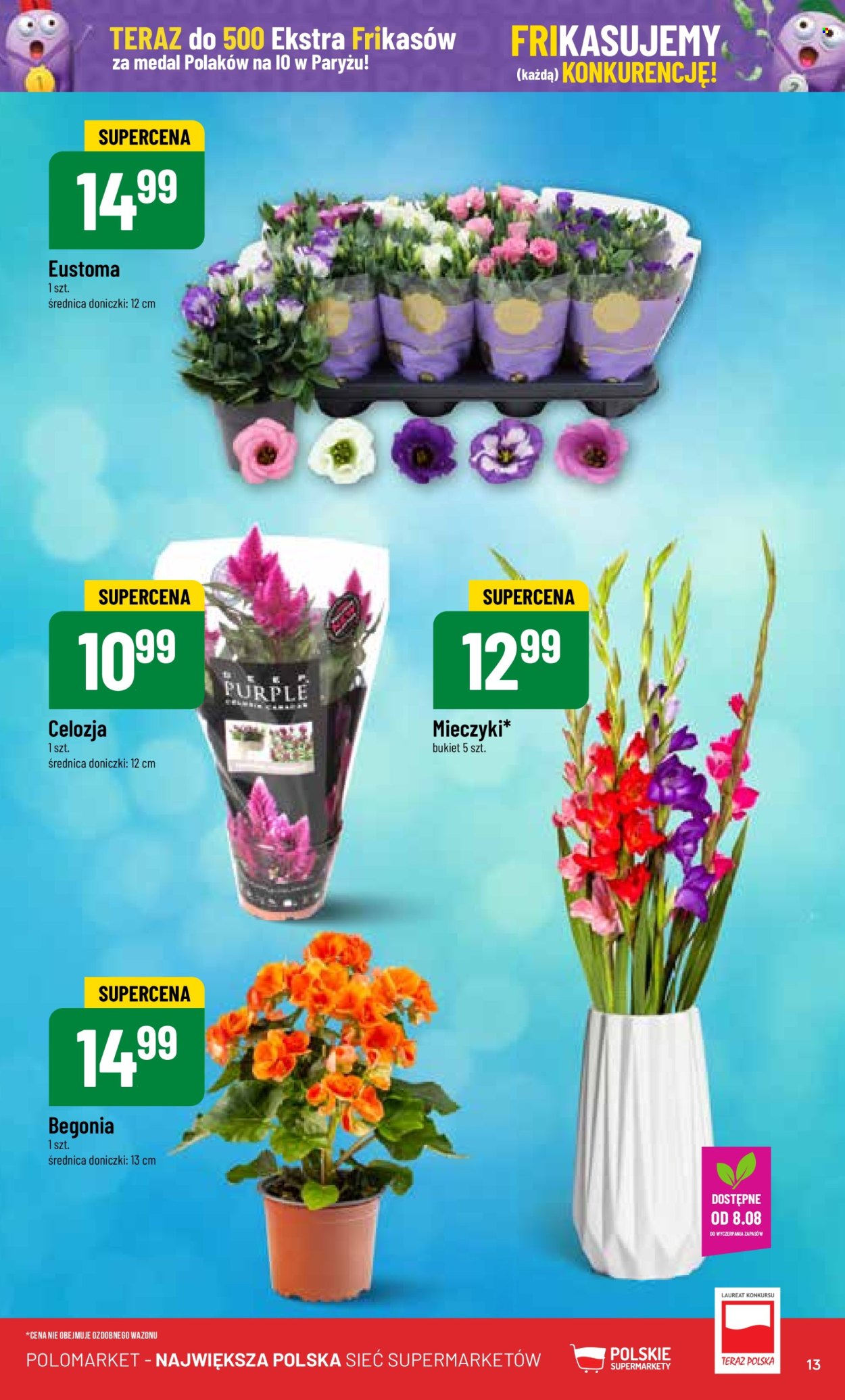 Gazetka Polomarket - 7.08.2024 - 13.08.2024. Strona 13