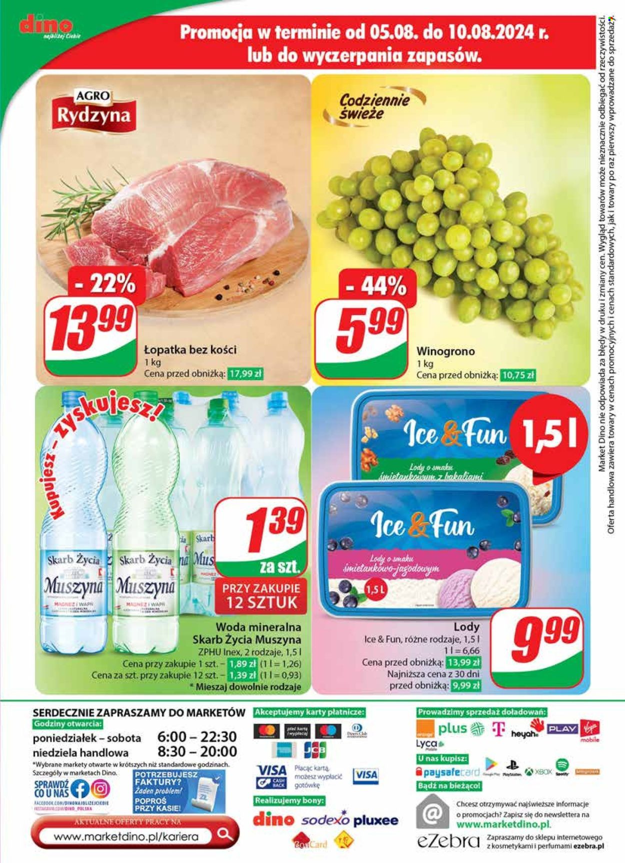 Gazetka Dino - 7.08.2024 - 13.08.2024. Strona 66