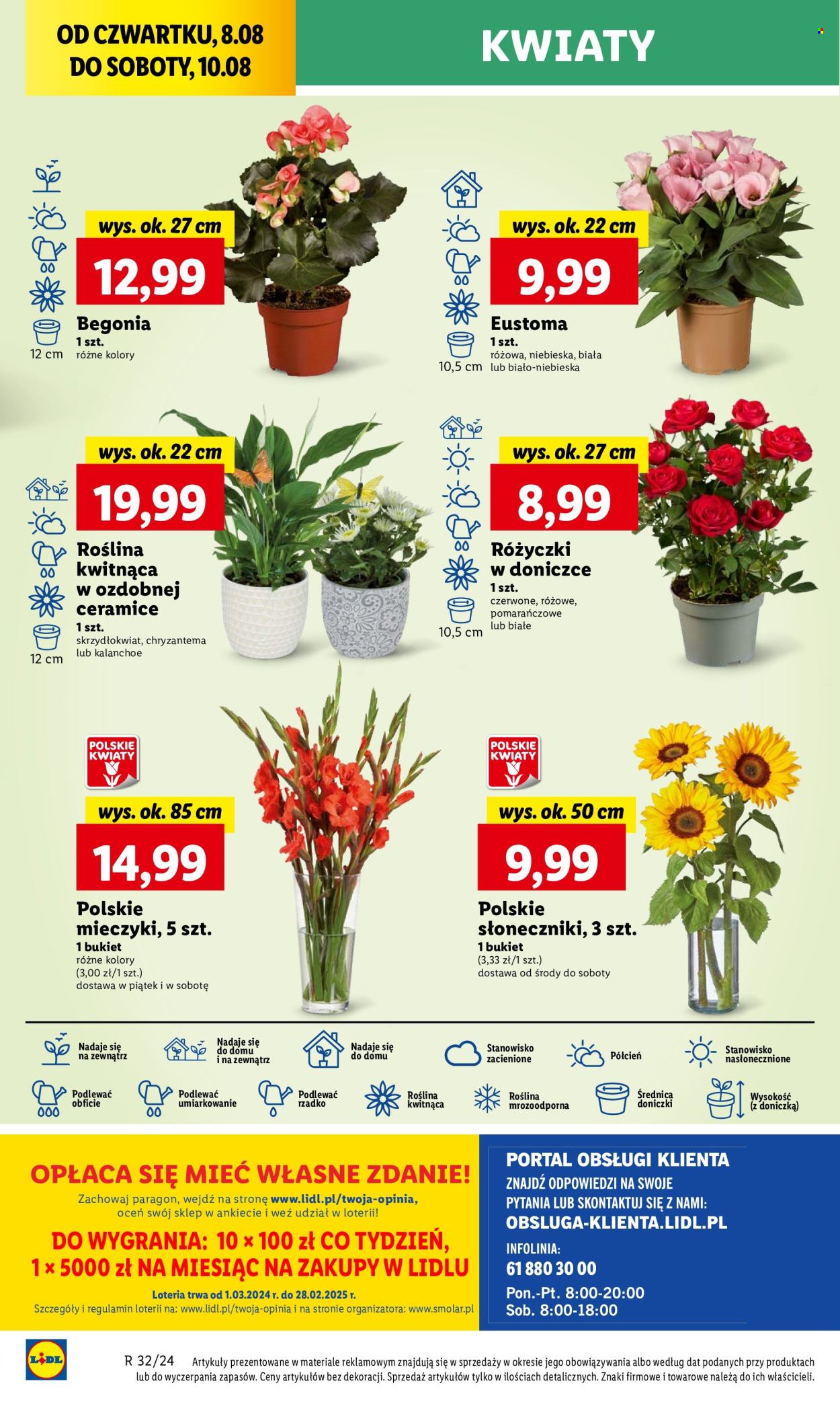 Gazetka Lidl - 8.08.2024 - 10.08.2024. Strona 46