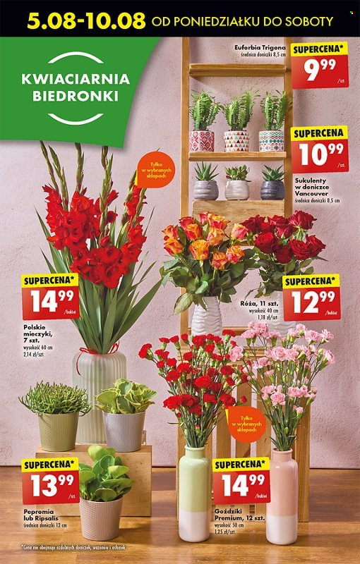 Gazetka Biedronka - 8.08.2024 - 14.08.2024. Strona 61