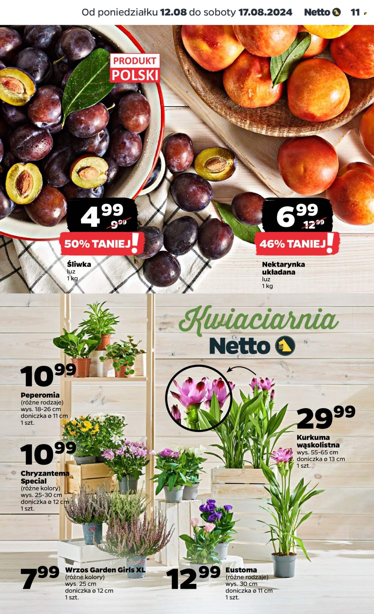 Gazetka Netto - 12.08.2024 - 17.08.2024. Strona 11