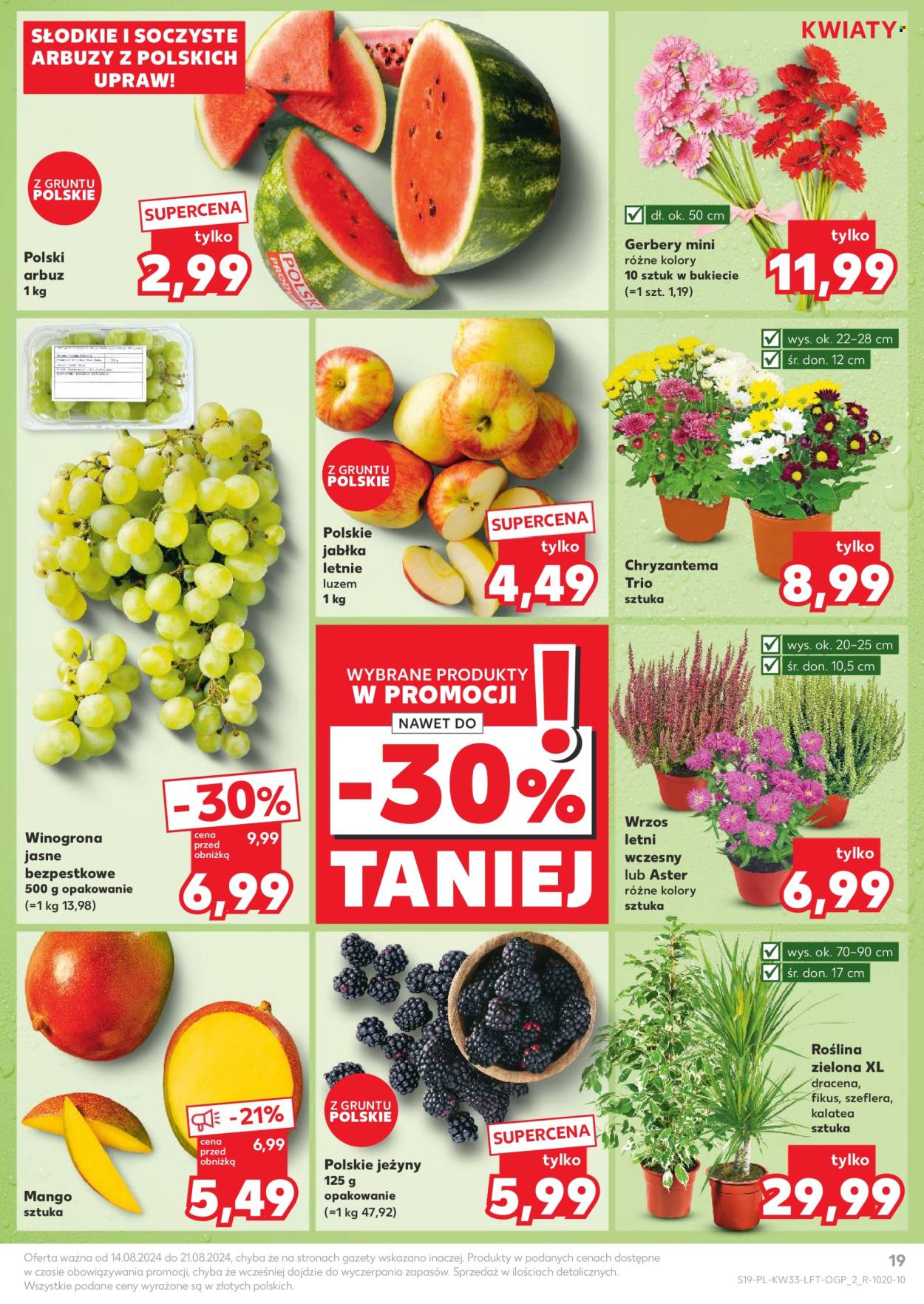 Gazetka Kaufland - 14.08.2024 - 21.08.2024. Strona 19