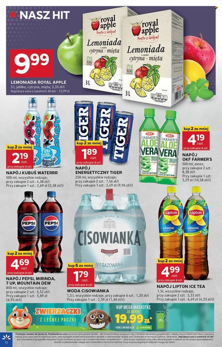 Gazetka Stokrotka Optima - 13.08.2024 - 21.08.2024. Strona 13