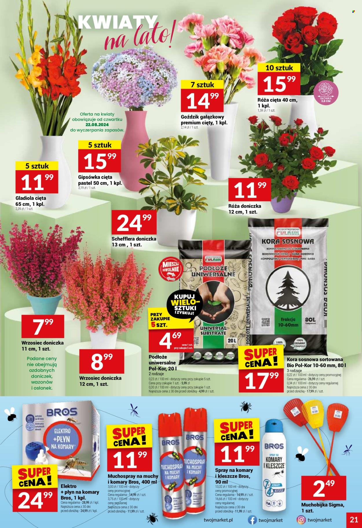 Gazetka Twój Market - 21.08.2024 - 27.08.2024. Strona 21