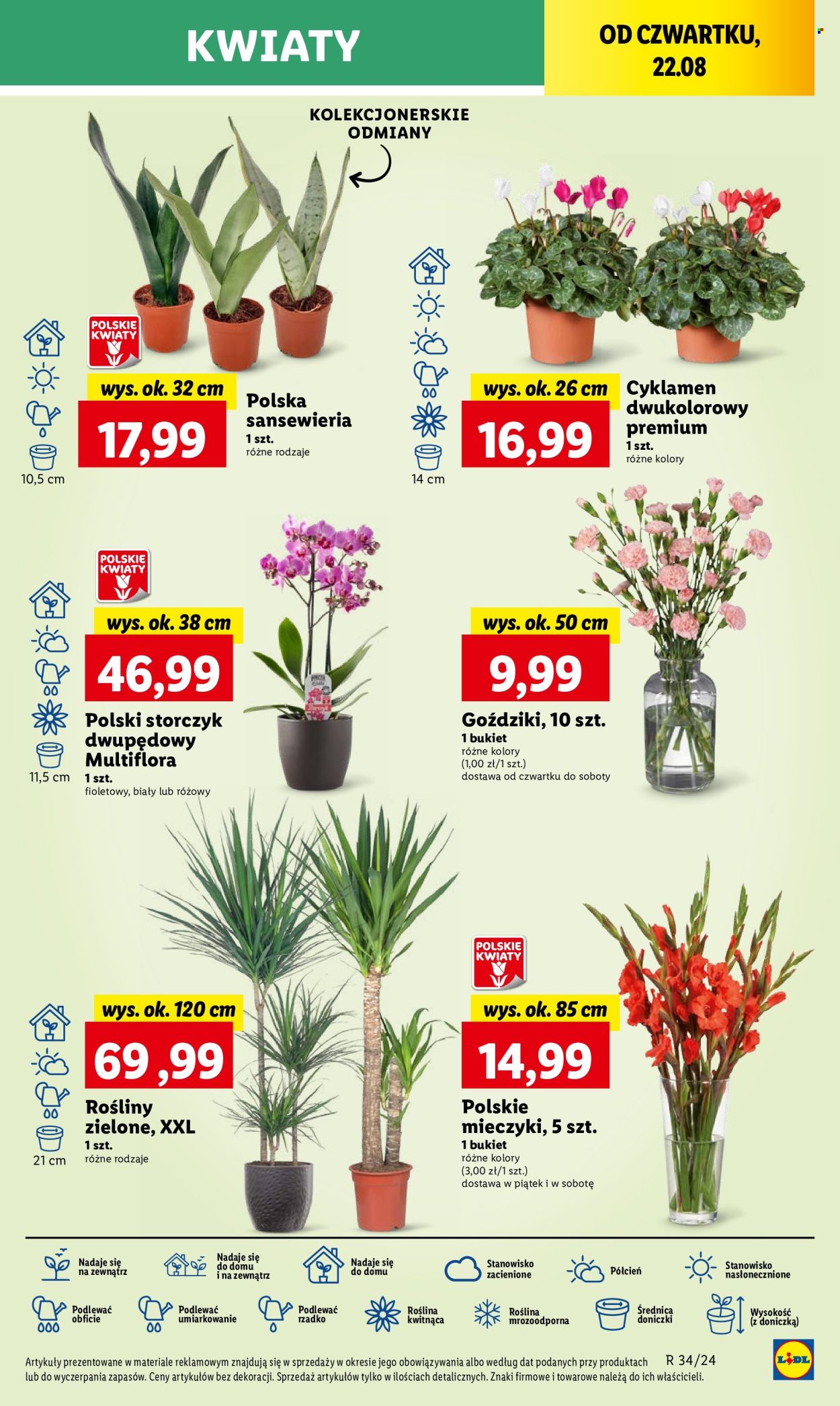 Gazetka Lidl - 22.08.2024 - 25.08.2024. Strona 39
