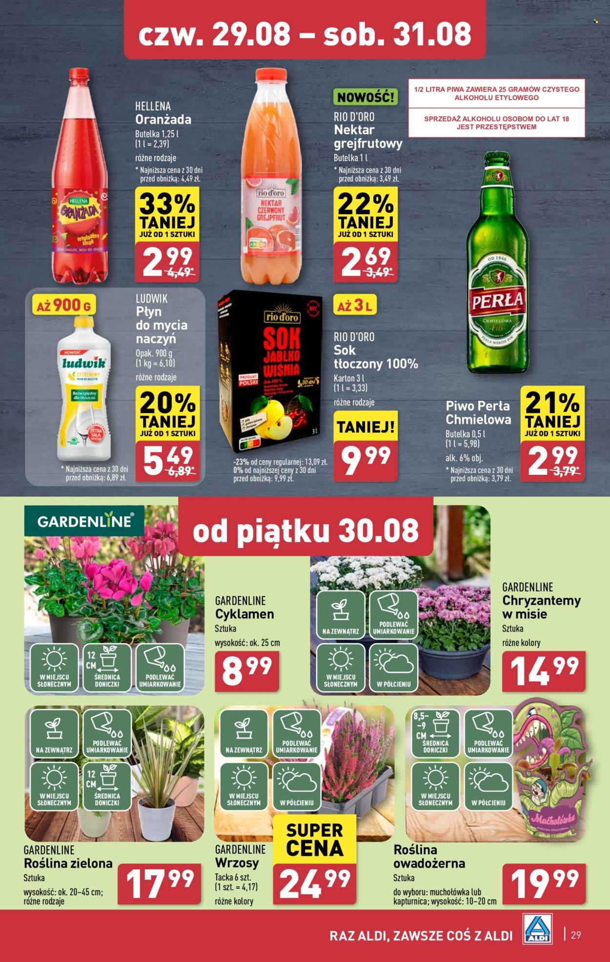 Gazetka ALDI - 26.08.2024 - 31.08.2024. Strona 29