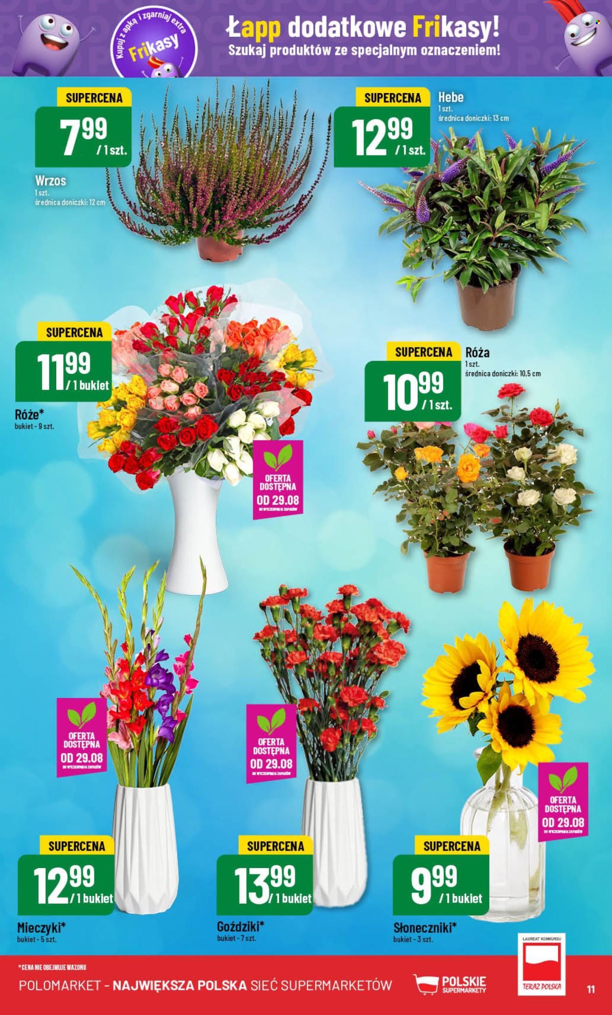 Gazetka Polomarket - 28.08.2024 - 3.09.2024. Strona 11