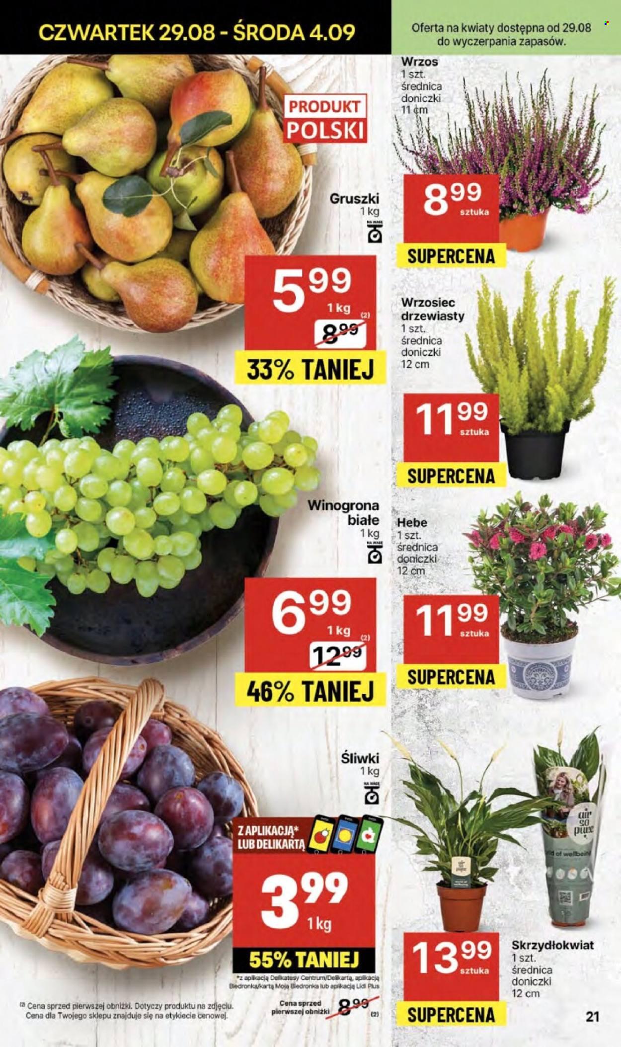 Gazetka Delikatesy Centrum - 29.08.2024 - 4.09.2024. Strona 21