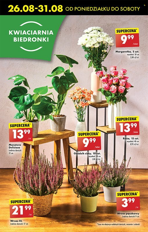 Gazetka Biedronka - 26.08.2024 - 1.09.2024. Strona 72