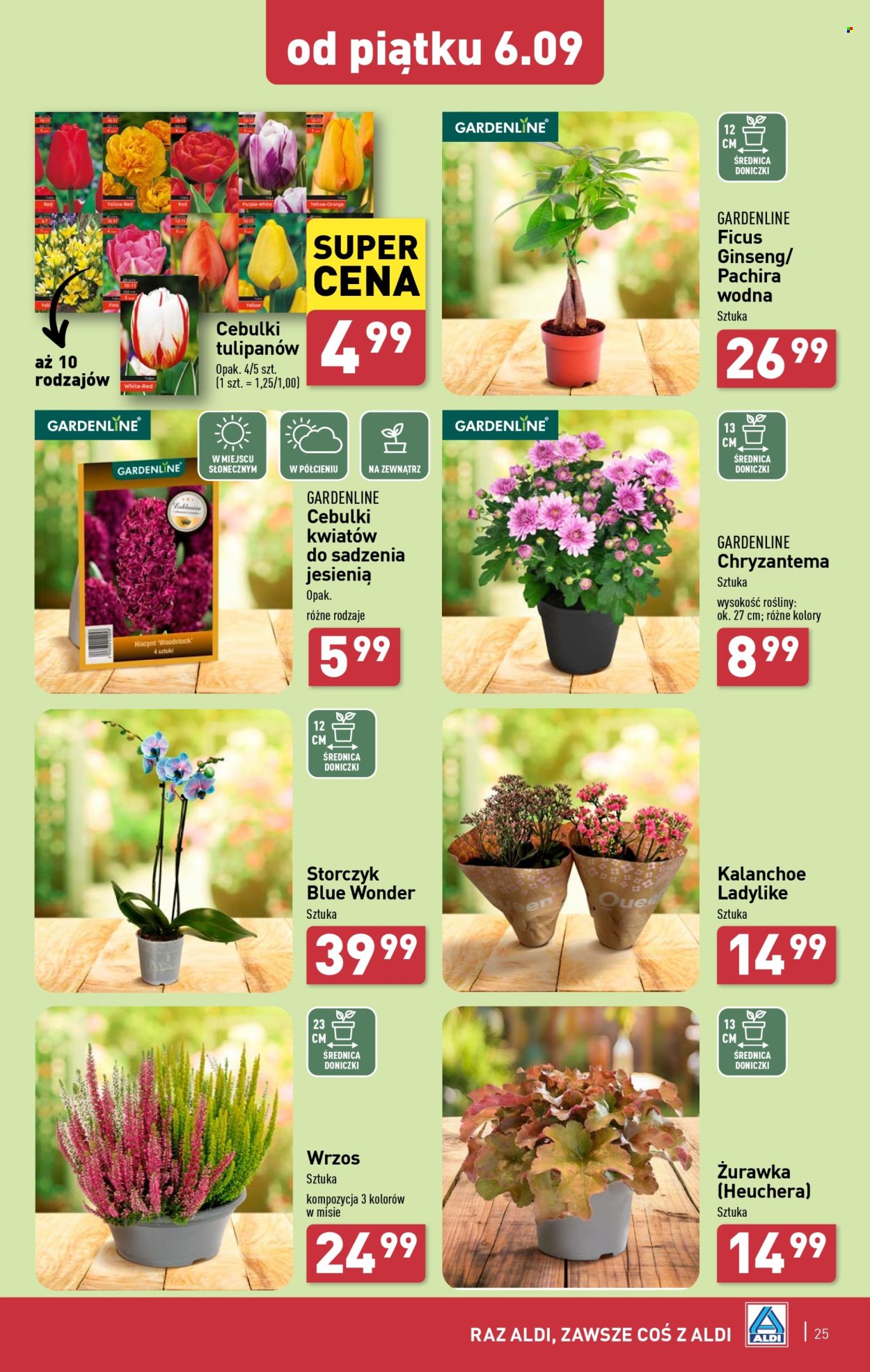 Gazetka ALDI - 2.09.2024 - 7.09.2024. Strona 25